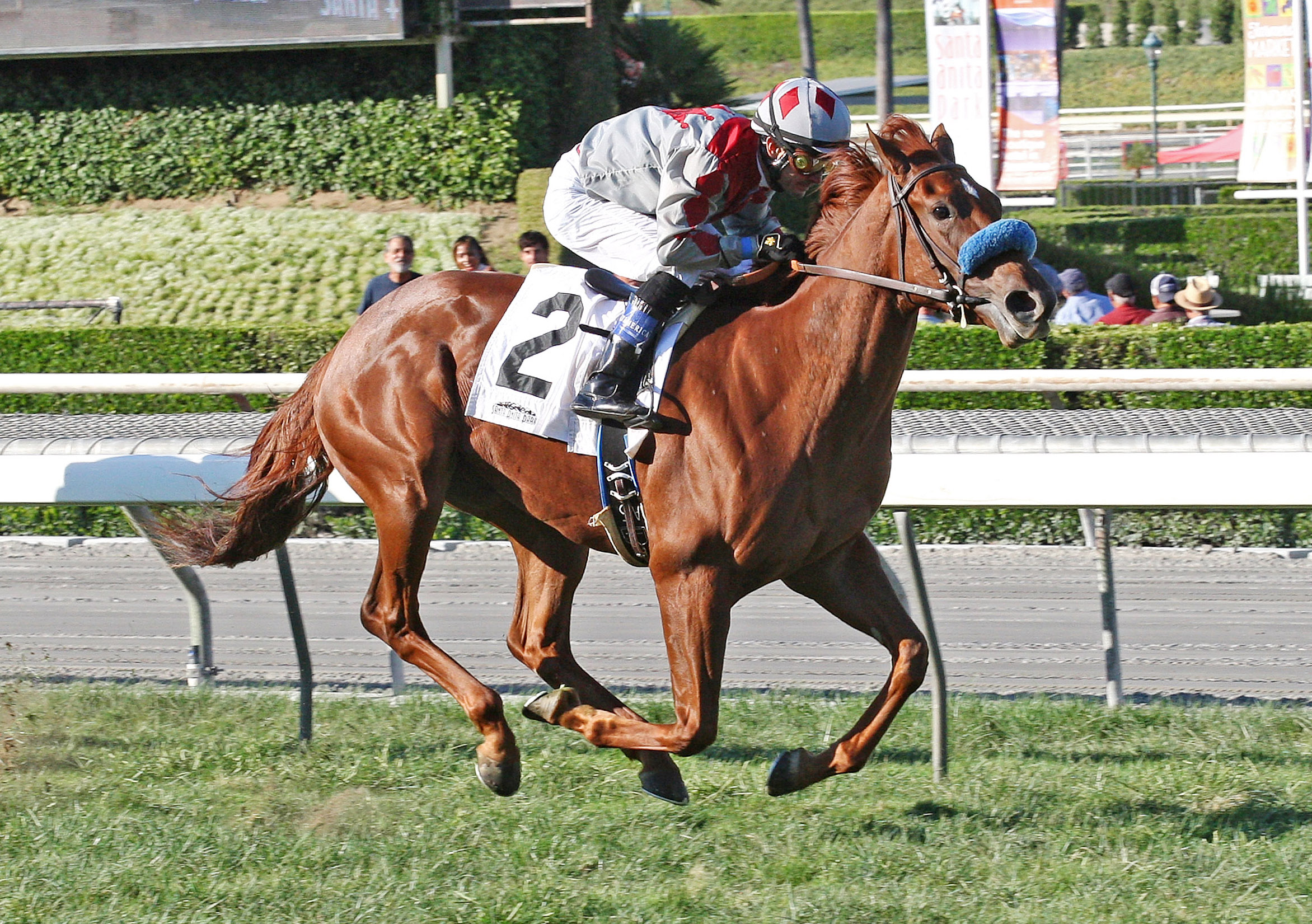 Stays in Vegas wins the Surfer Girl