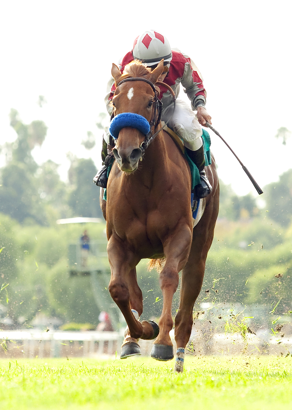 Stays in Vegas wins the Senorita Stakes
