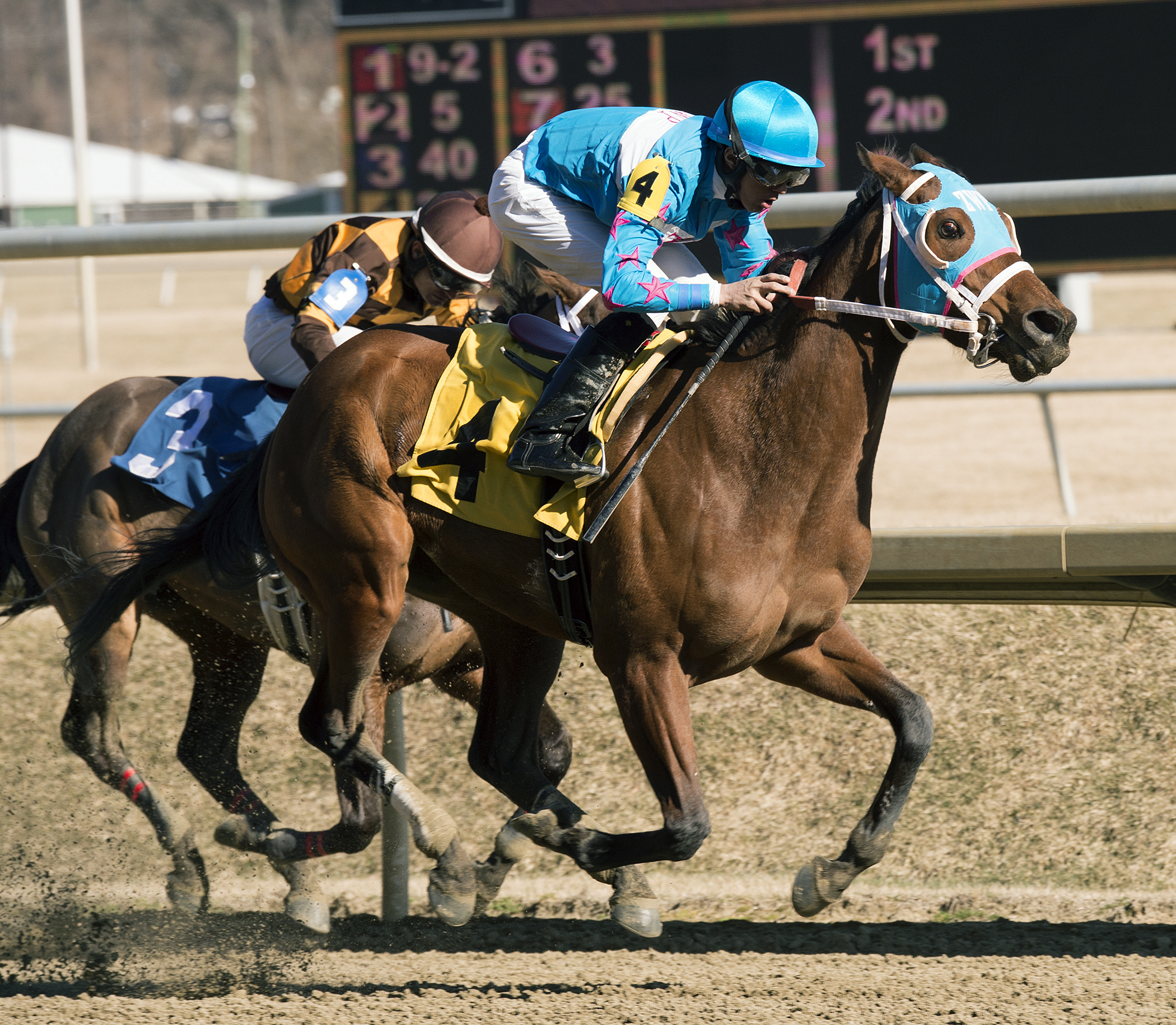 Steady N Love wins the Caesar's Wish Stakes