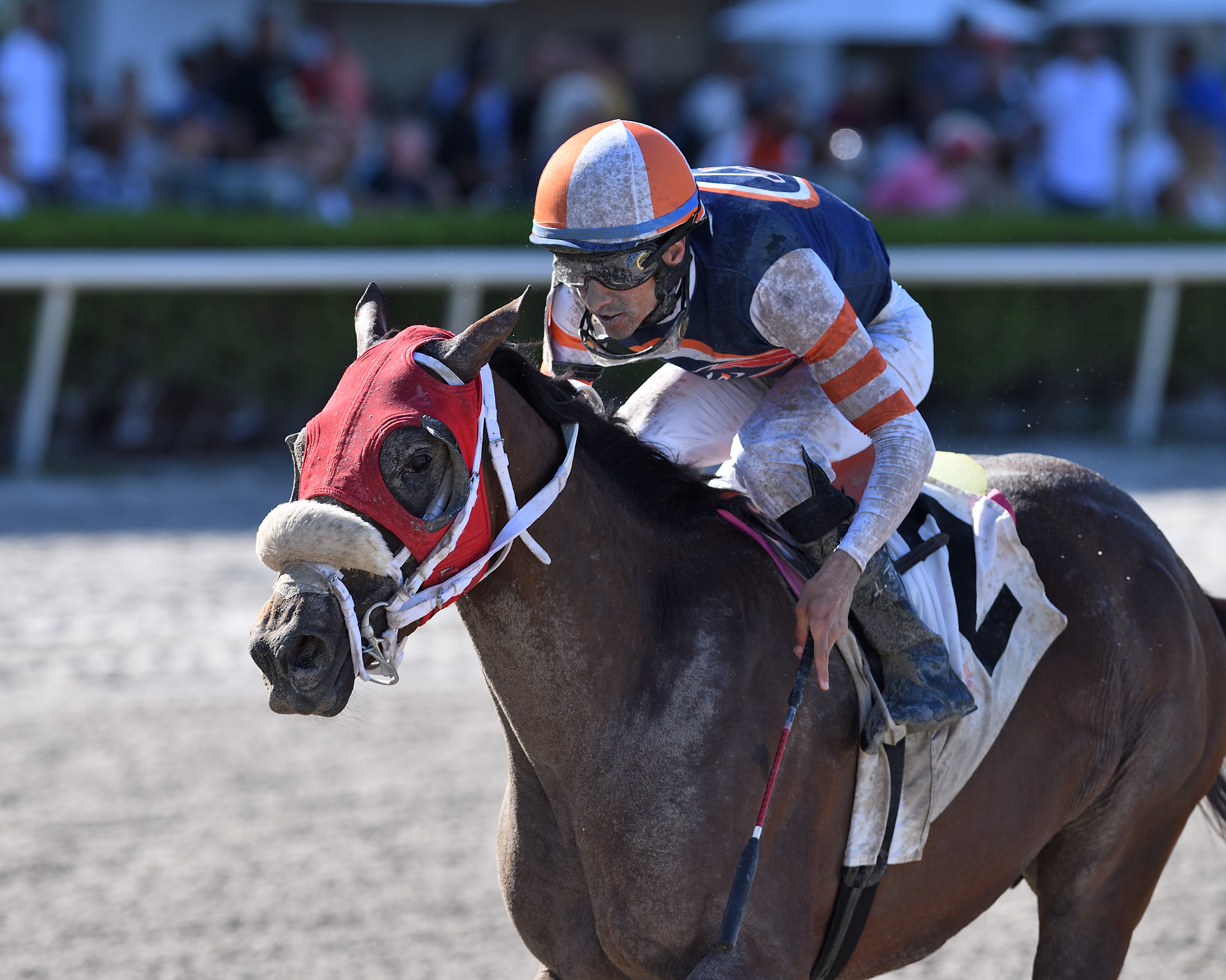 Steal Sunshine wins the Carry Back at Gulfstream on July 9 2022