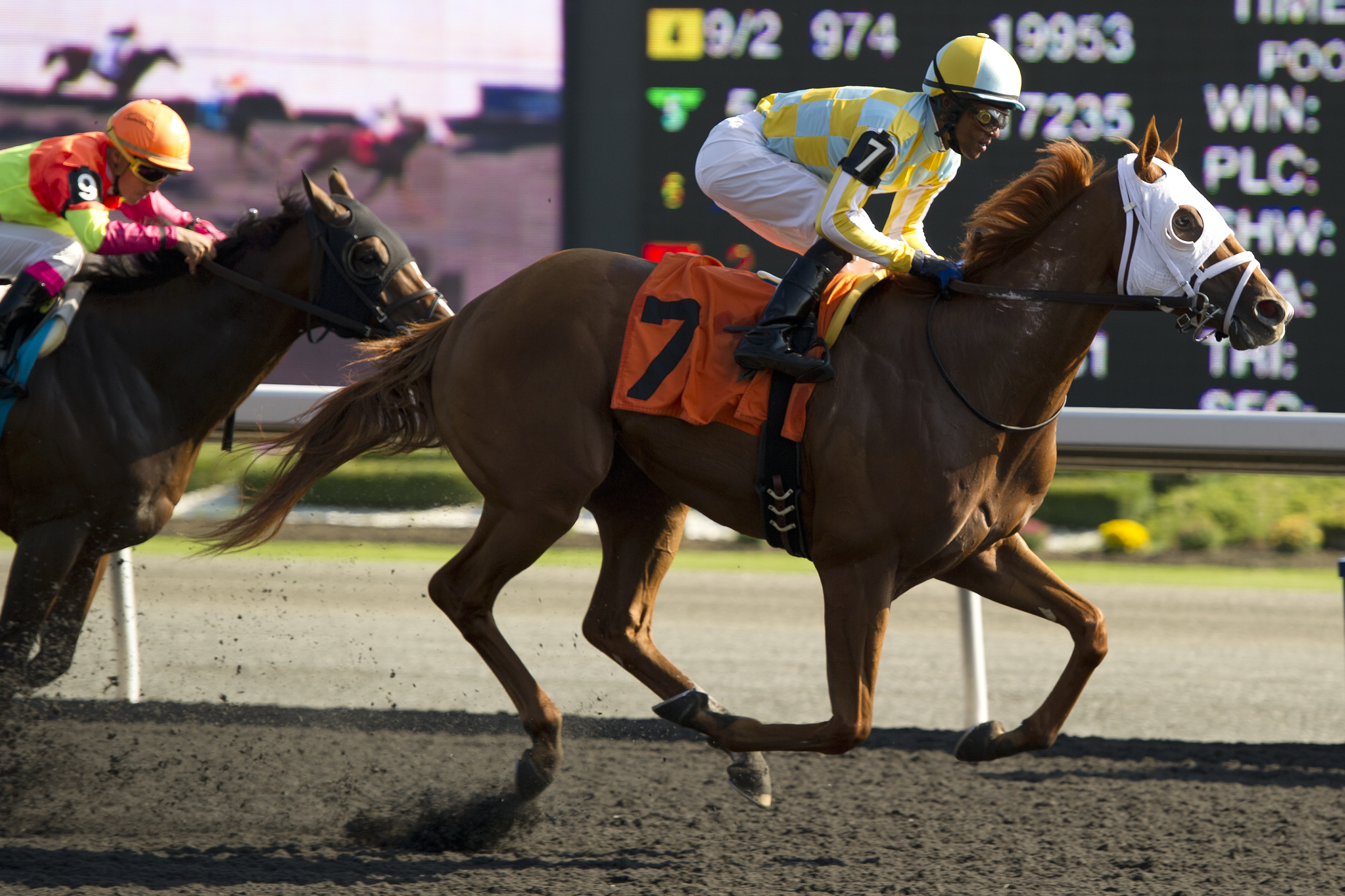 Stealcase/Ontario Derby
