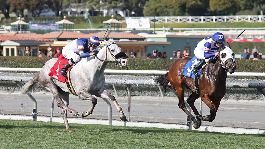 Just Grazed Me (left) finishes second in the Sunshine Millions Filly and Mare Turf Sprint Stakes at Santa Anita