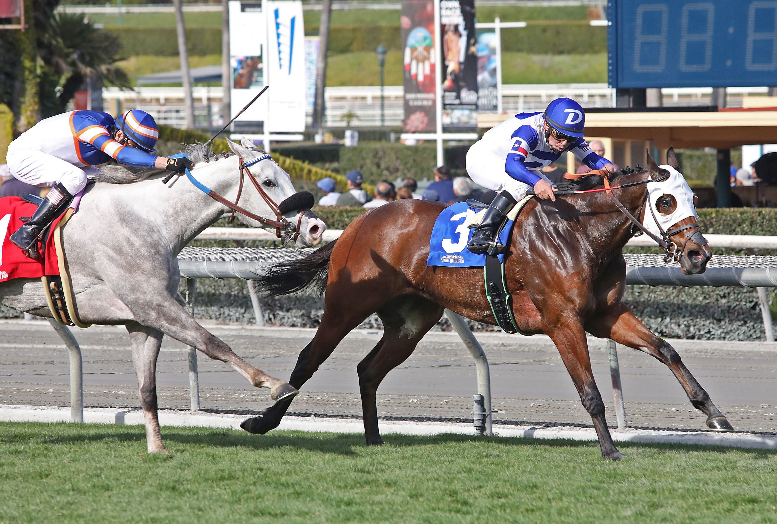 Stealthediamonds wins the 2020 Sunshine Millions Filly and Mare Turf Sprint at Santa Anita