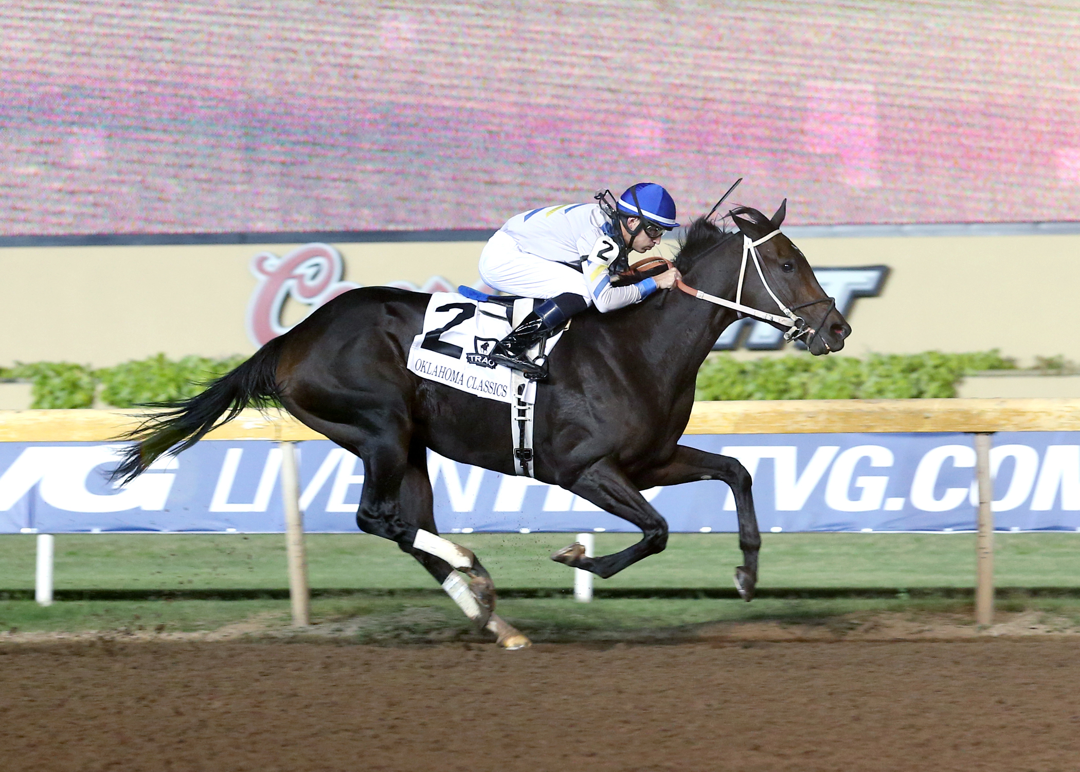 Steel Cut wins the Oklahoma Classics Distaff Stakes