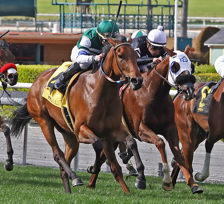 Stela Star (left) finishes second in the China Doll Stakes at Santa Anita