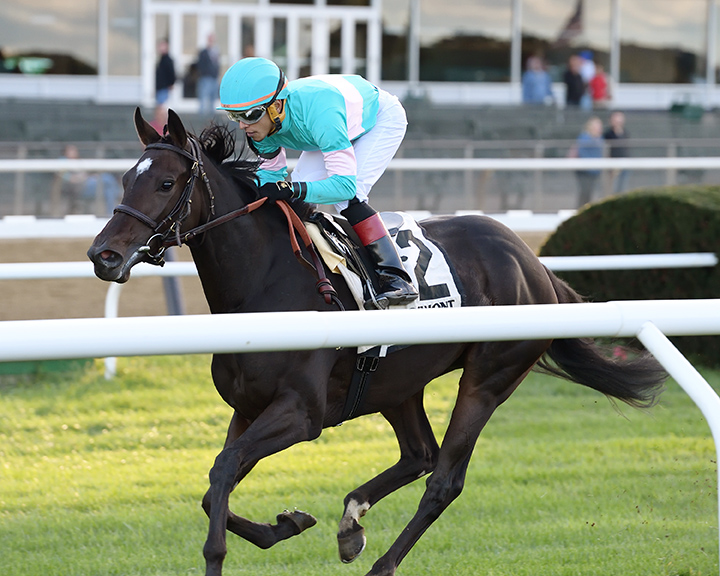 Stella di Camelot wins the 2018 Pebbles Stakes