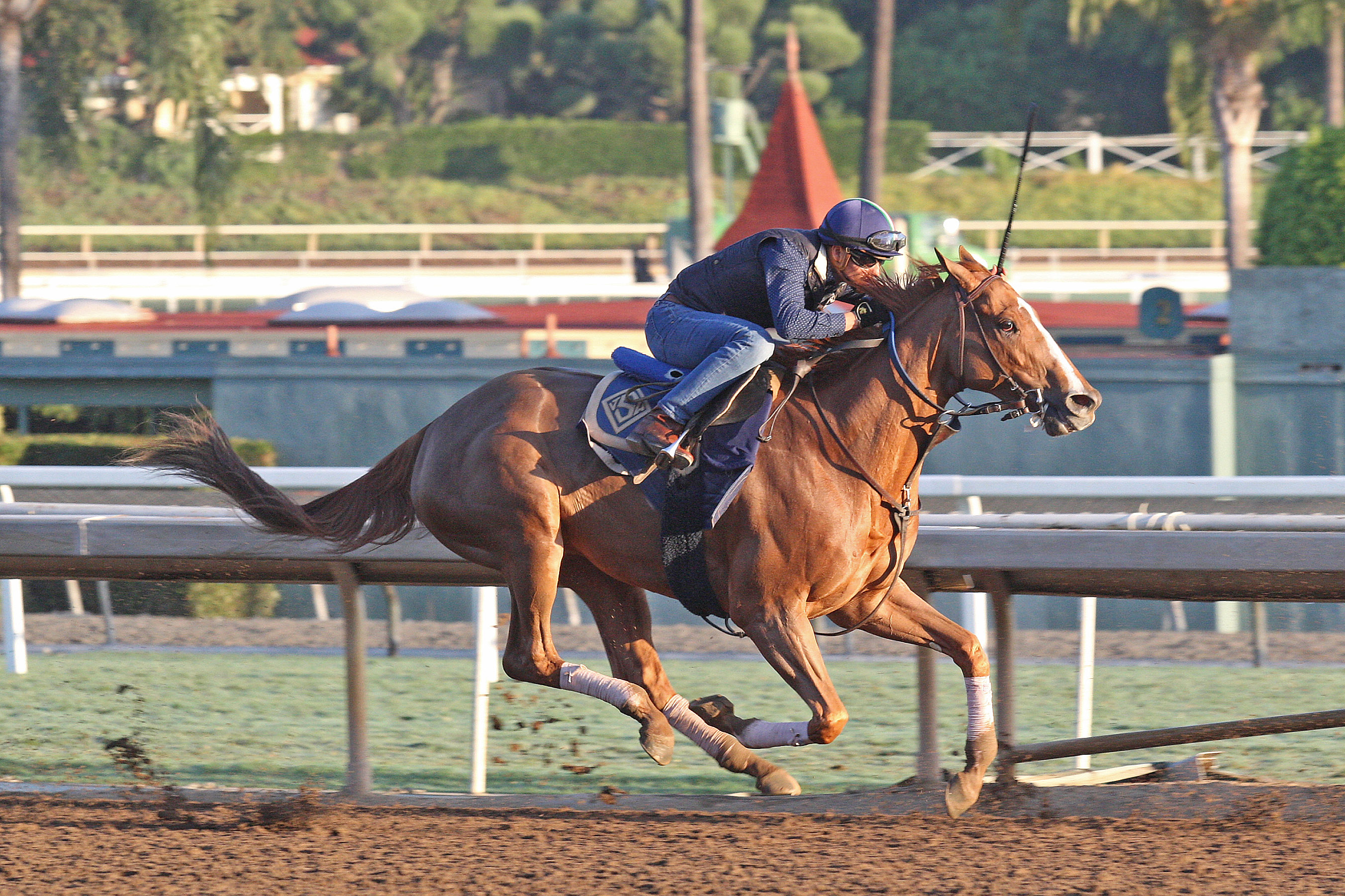 Stellar Wind