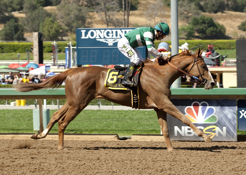Stellar Wind