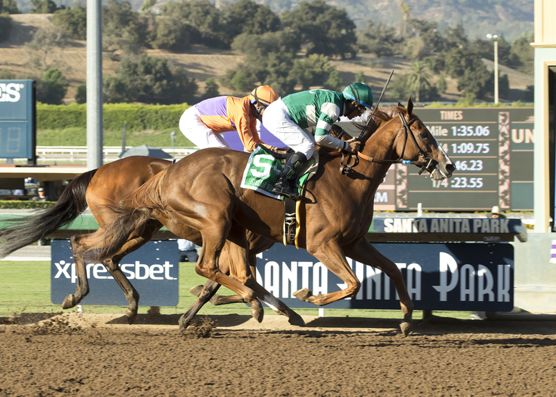 Stellar Wind 10-1-2016