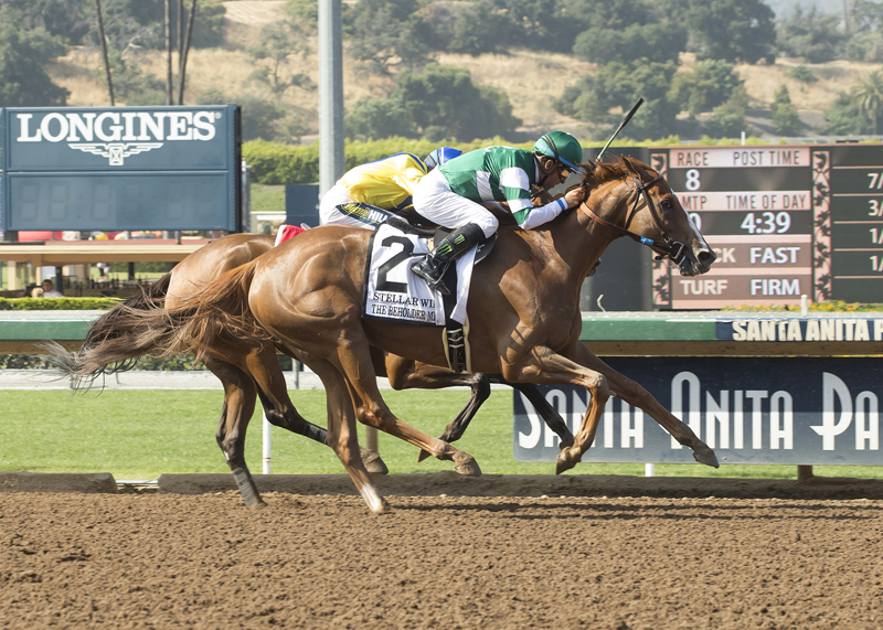 Stellar Wind