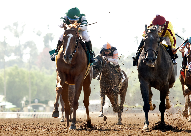 Stellar Wind 6-20-2015