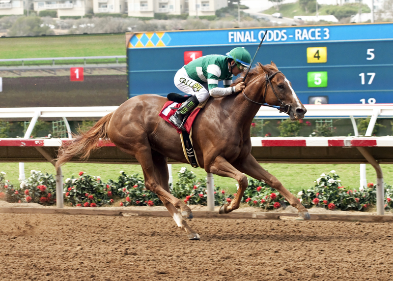 Stellar Wind 8-30-2015