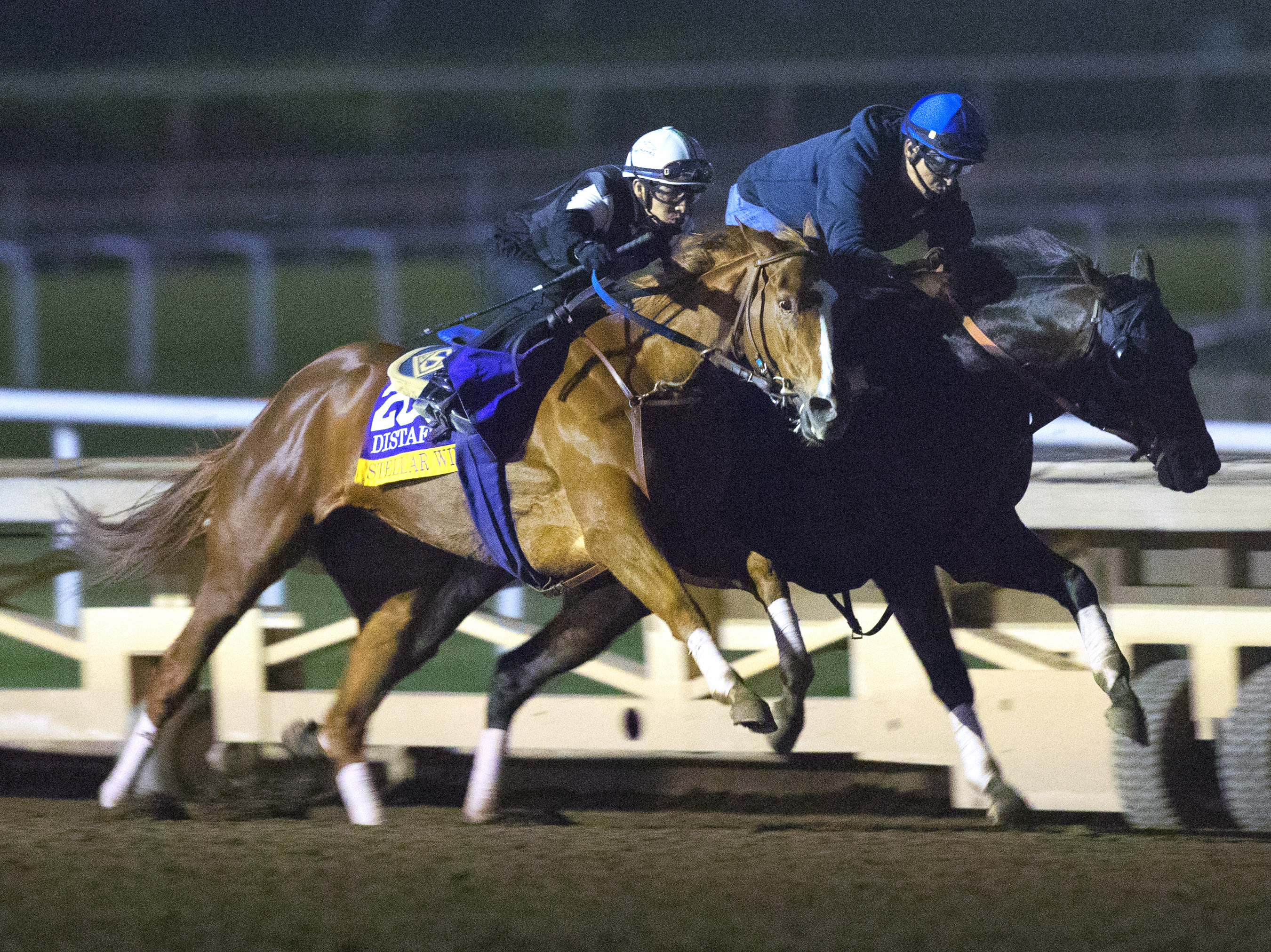 Stellar Wind works with Hard Aces on Oct. 28