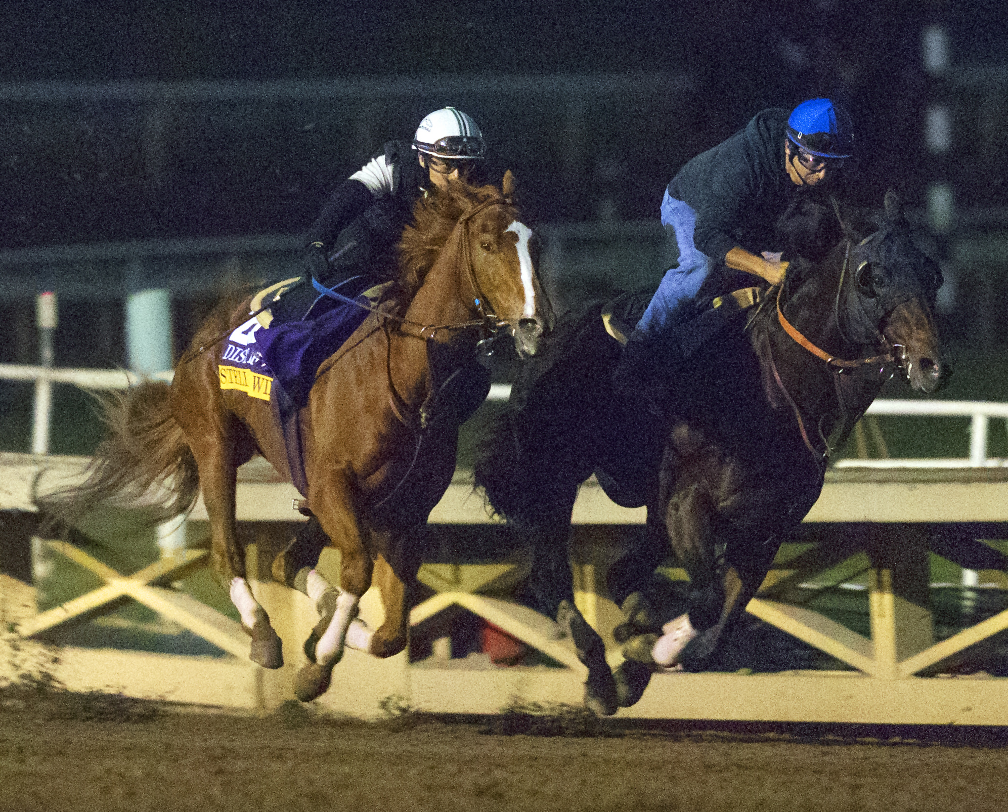 Stellar Wind
