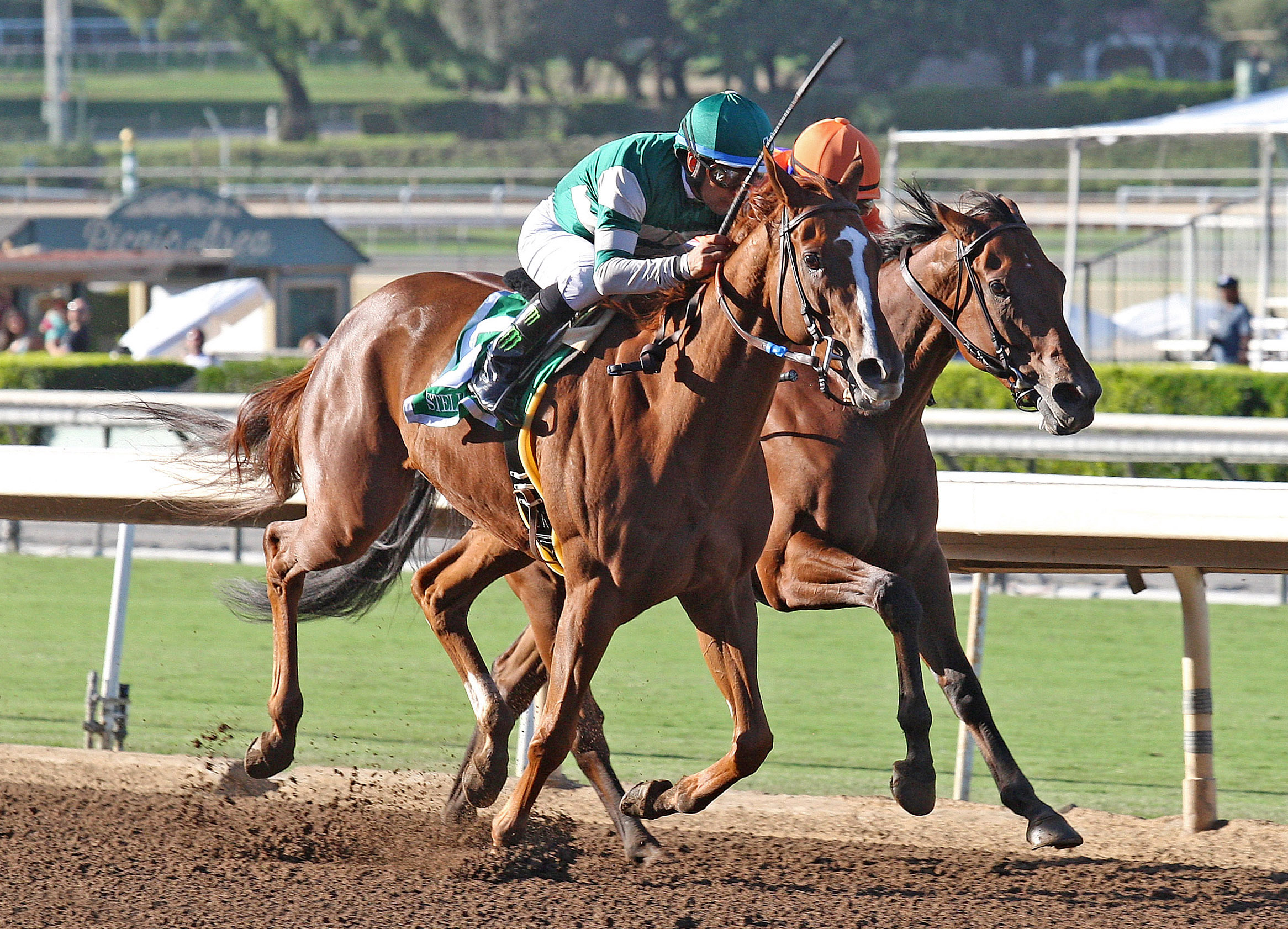 Stellar Wind beats Beholder in the Zenyatta Stakes