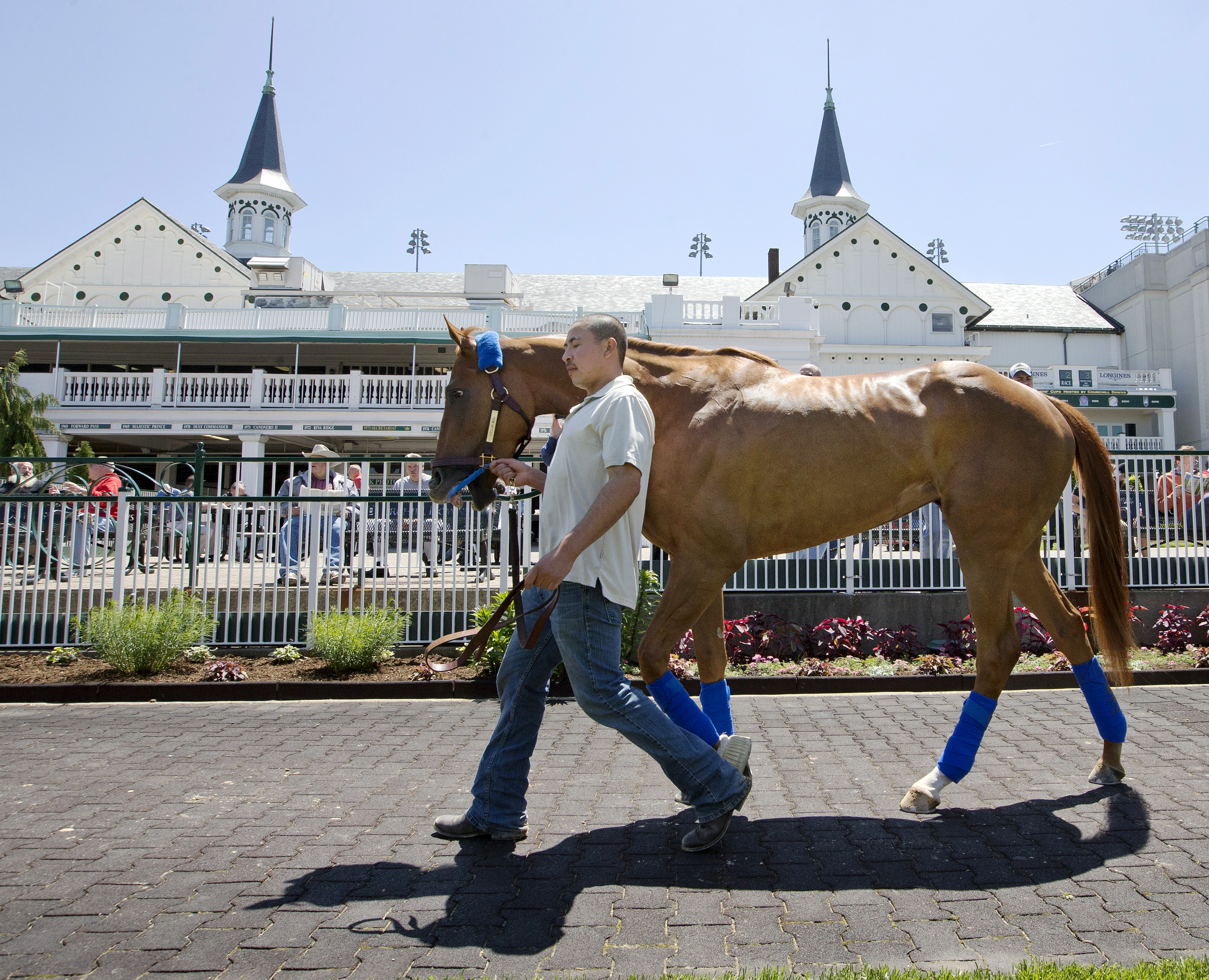 Stellar Wind schools at Churchill Downs on April 28
