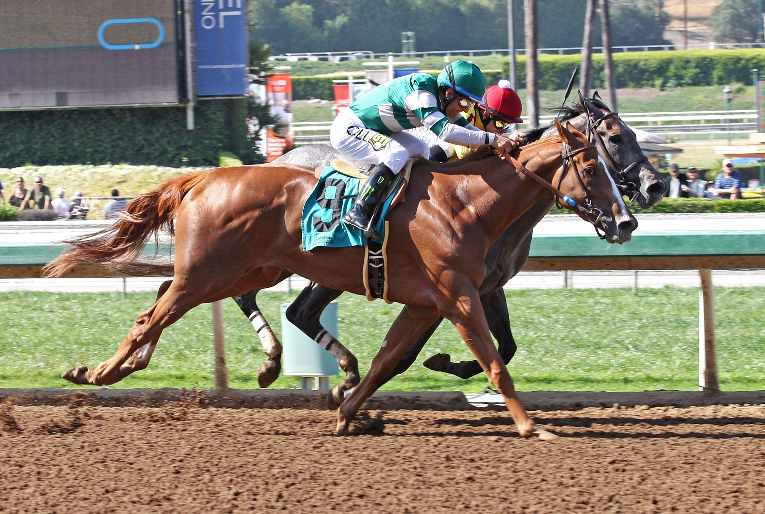 Stellar Wind wins the Summertime Oaks