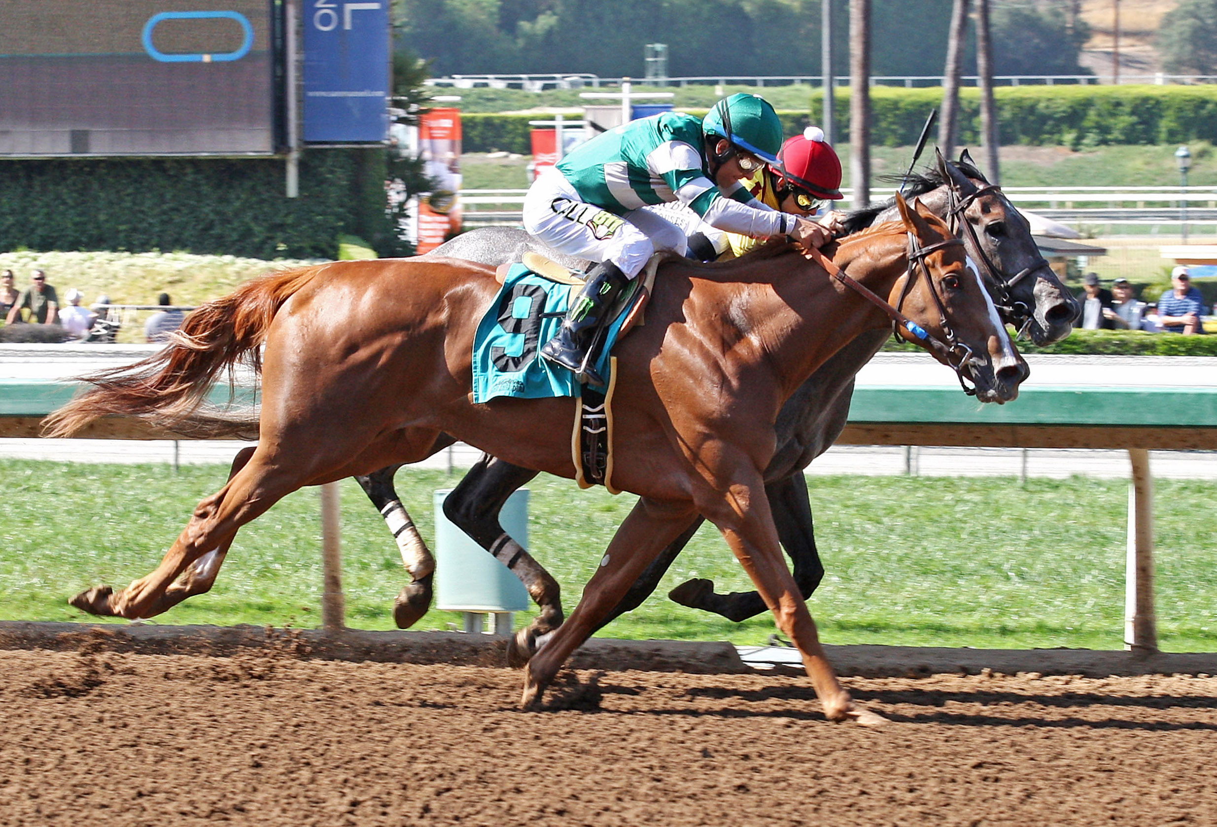 Stellar Wind wins the Summertime Oaks
