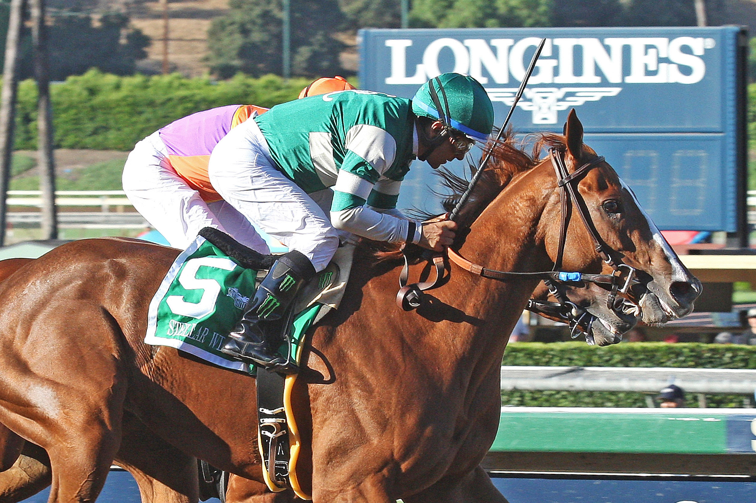 Stellar Wind wins the Zenyatta Stakes