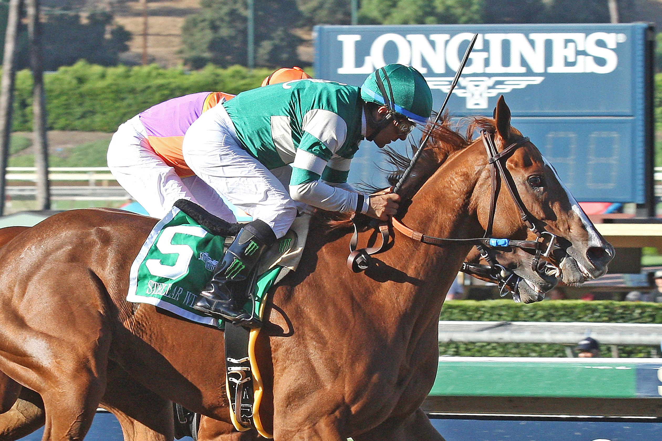 Stellar Wind wins the Zenyatta Stakes