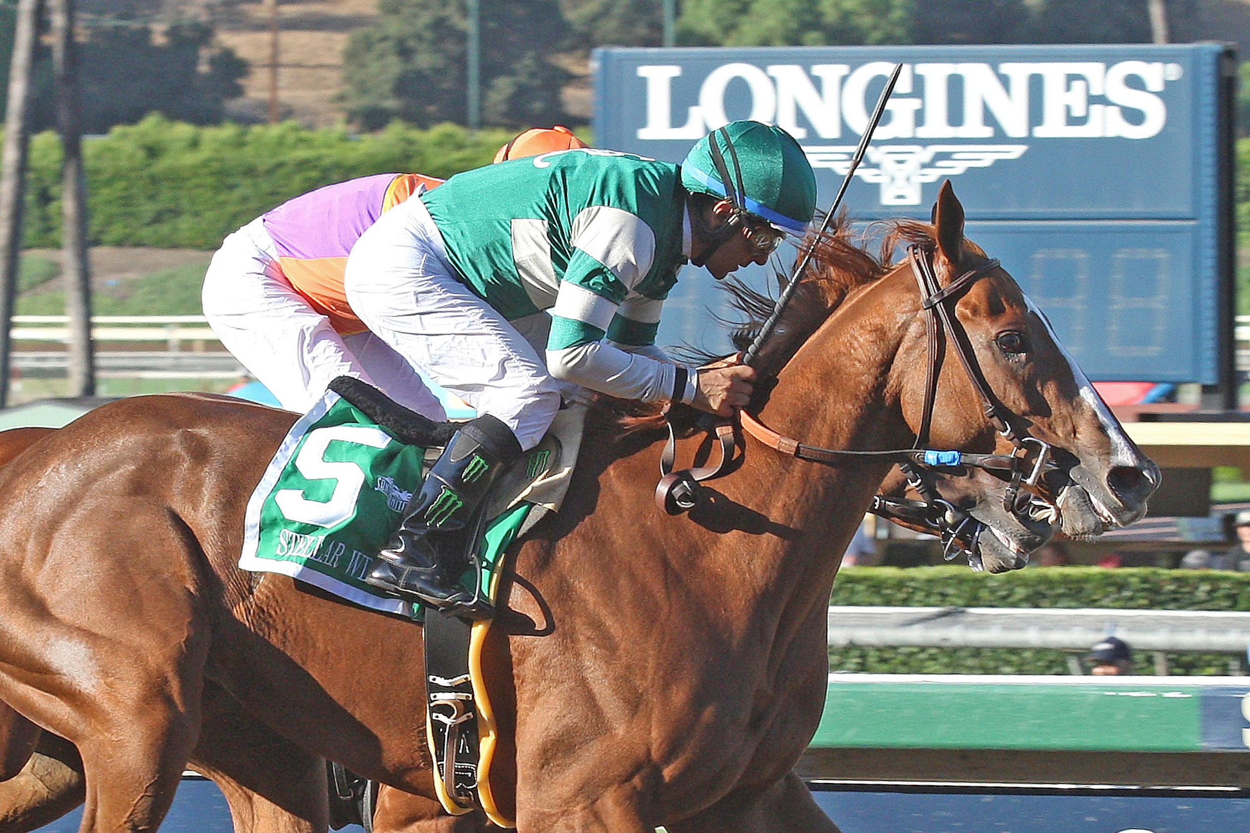 Stellar Wind wins Zenyatta