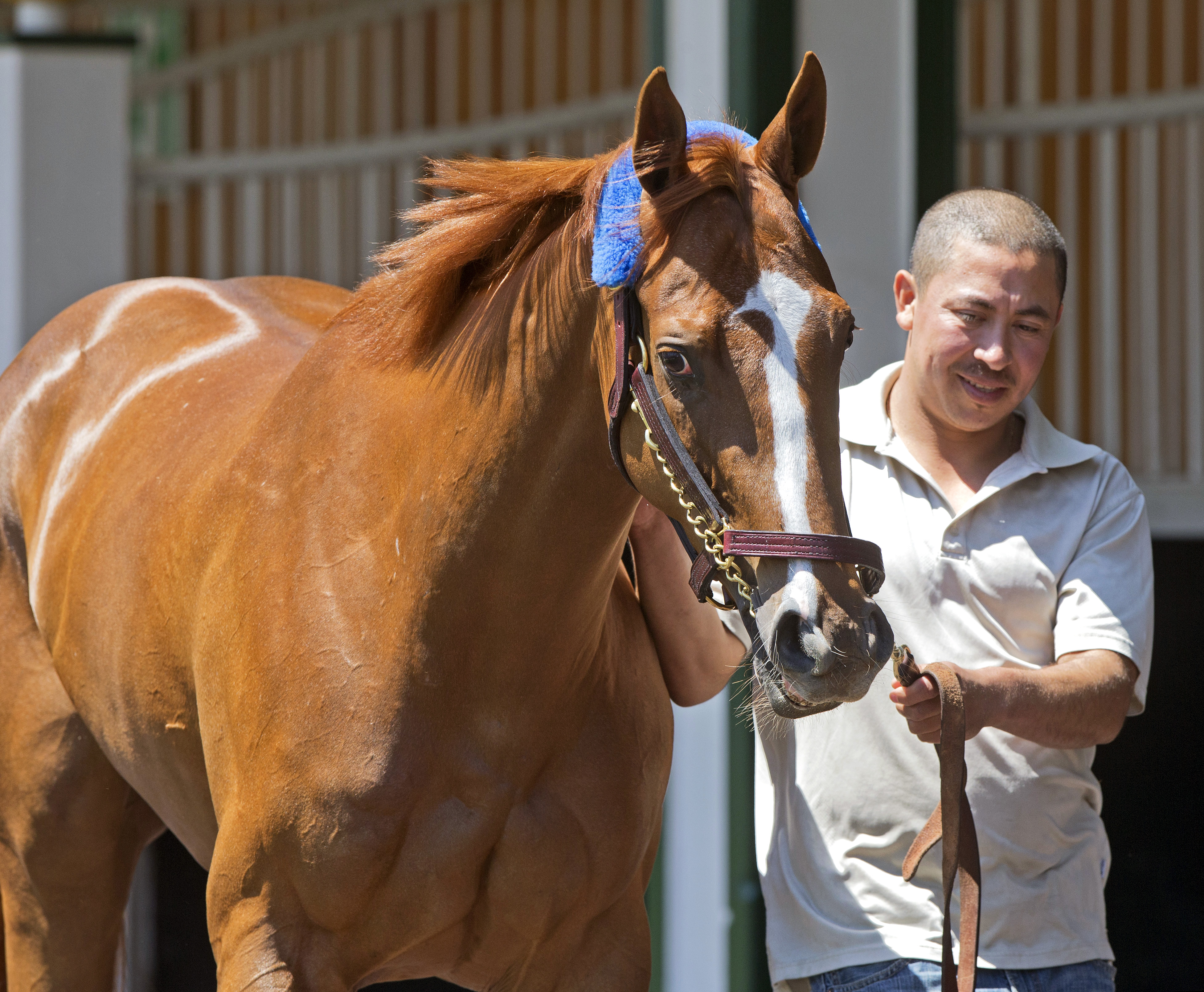 Stellar Wind at Churchill Downs on April 28