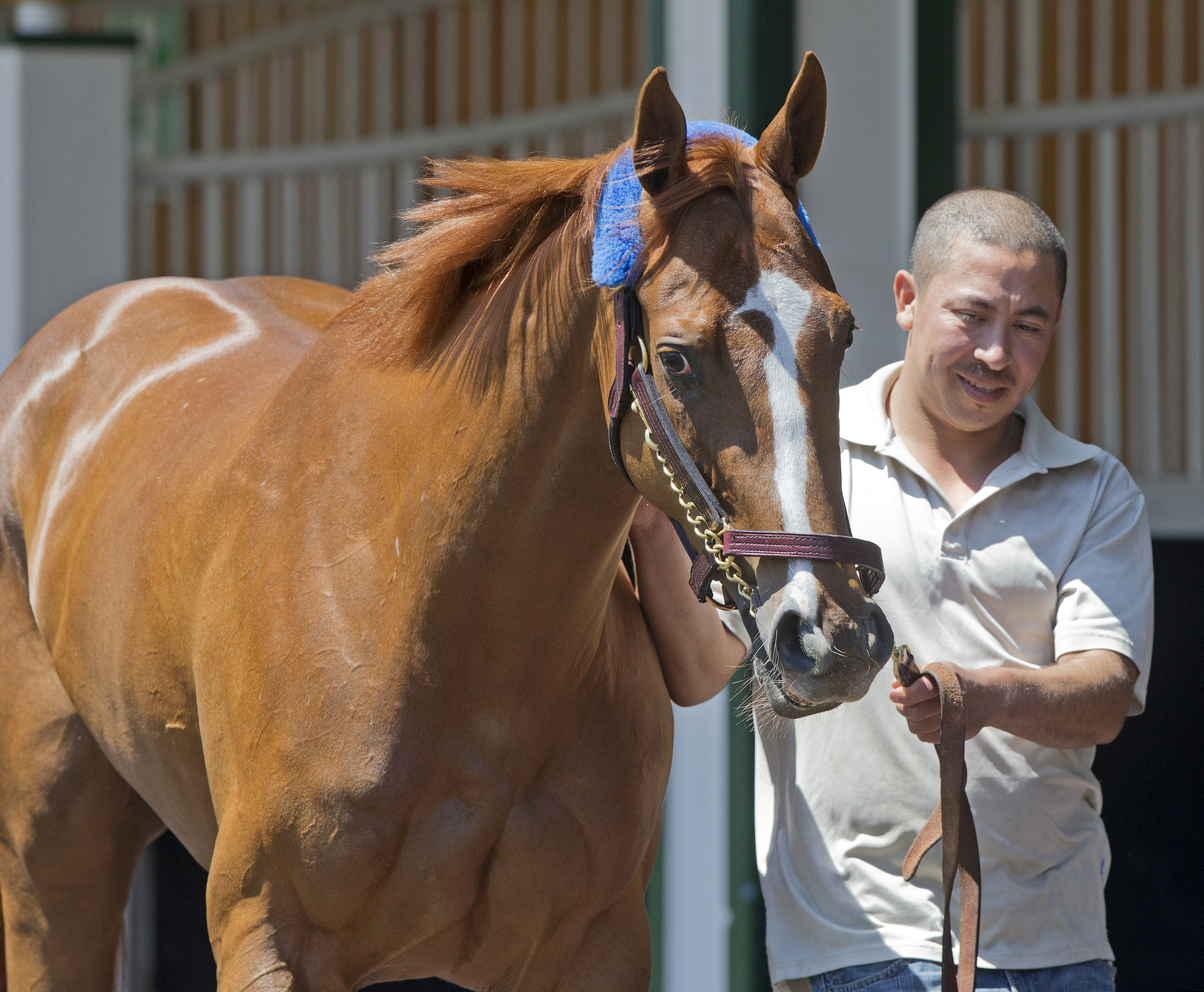 Stellar Wind