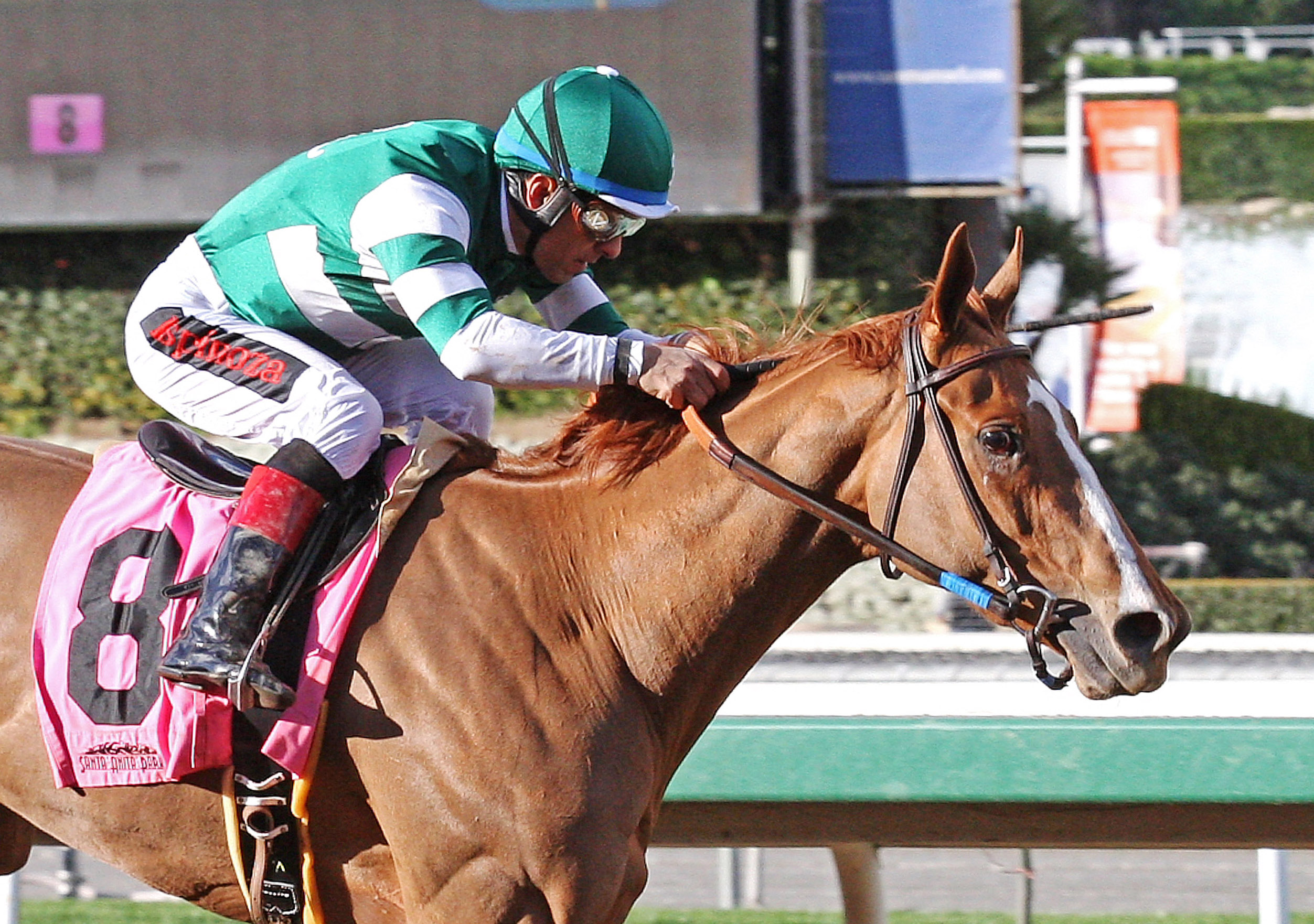 Stellar Wind wins the Santa Ysabel