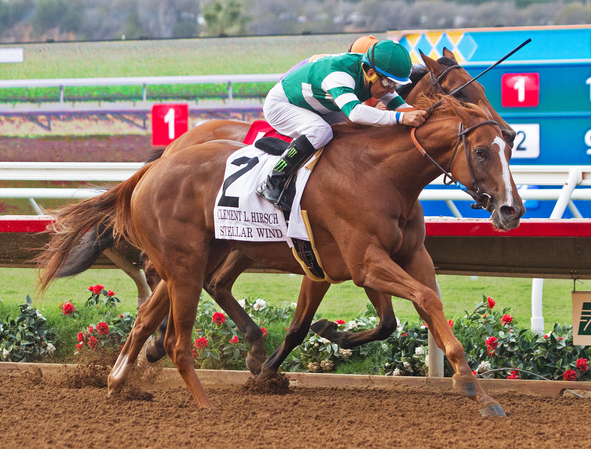 Stellar Wind