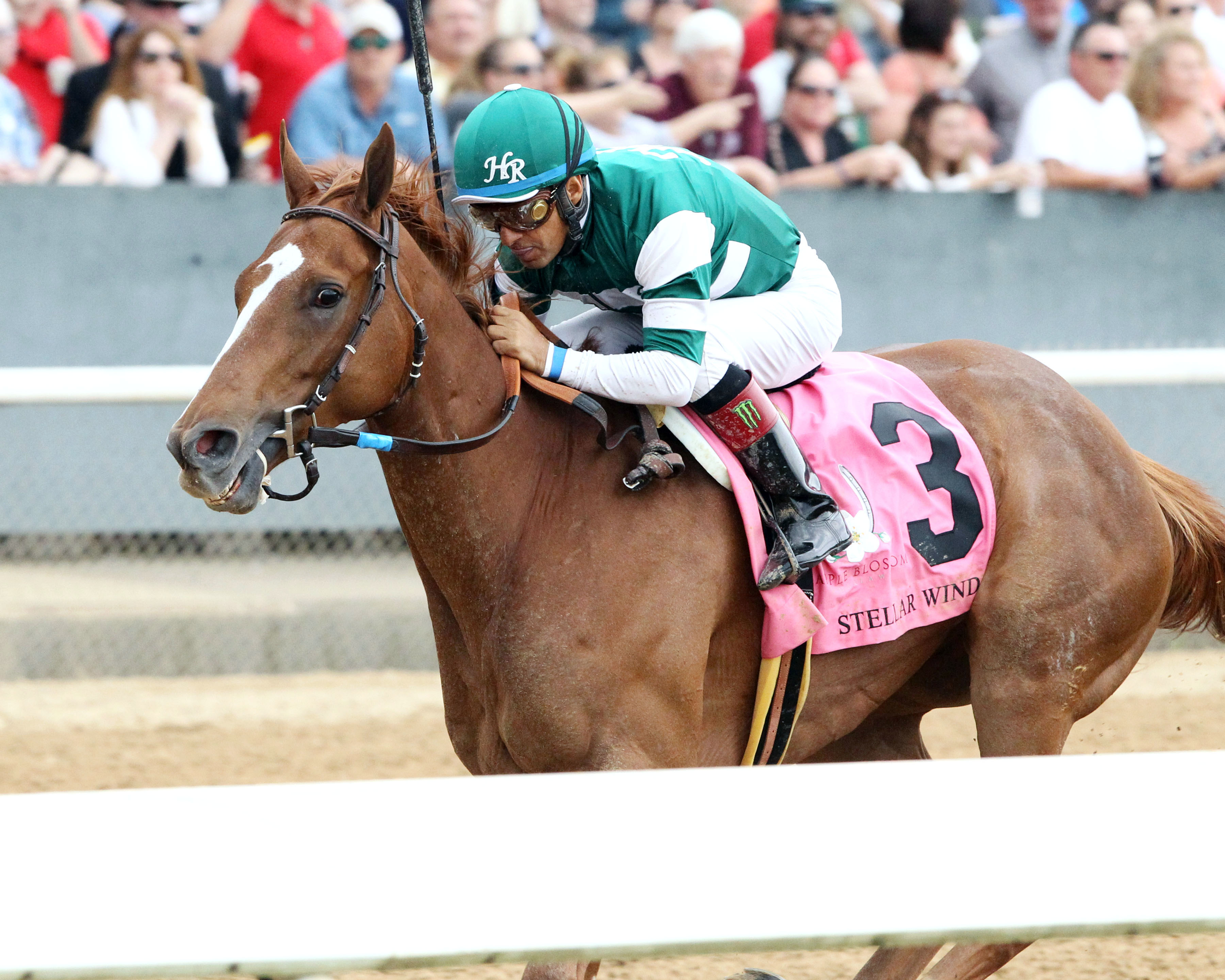 Stellar Wind wins the Apple Blossom Handicap