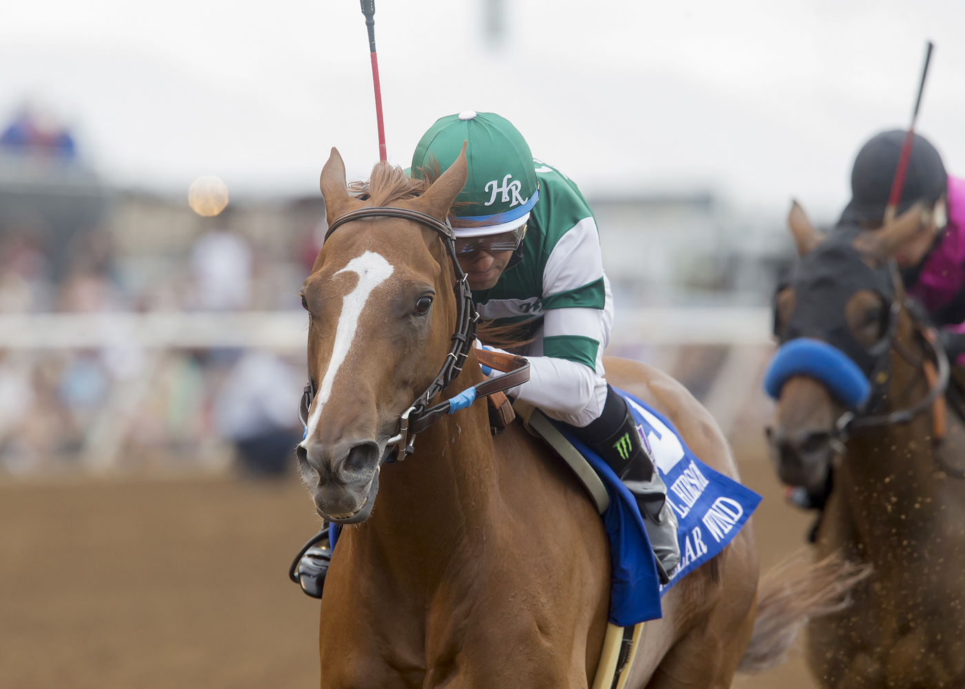 Stellar Wind wins the 2017 Clement Hirsch