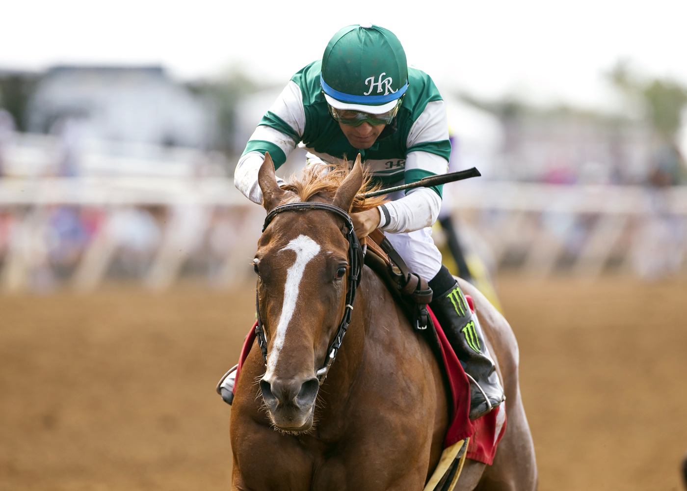 Stellar Wind wins the Torrey Pines