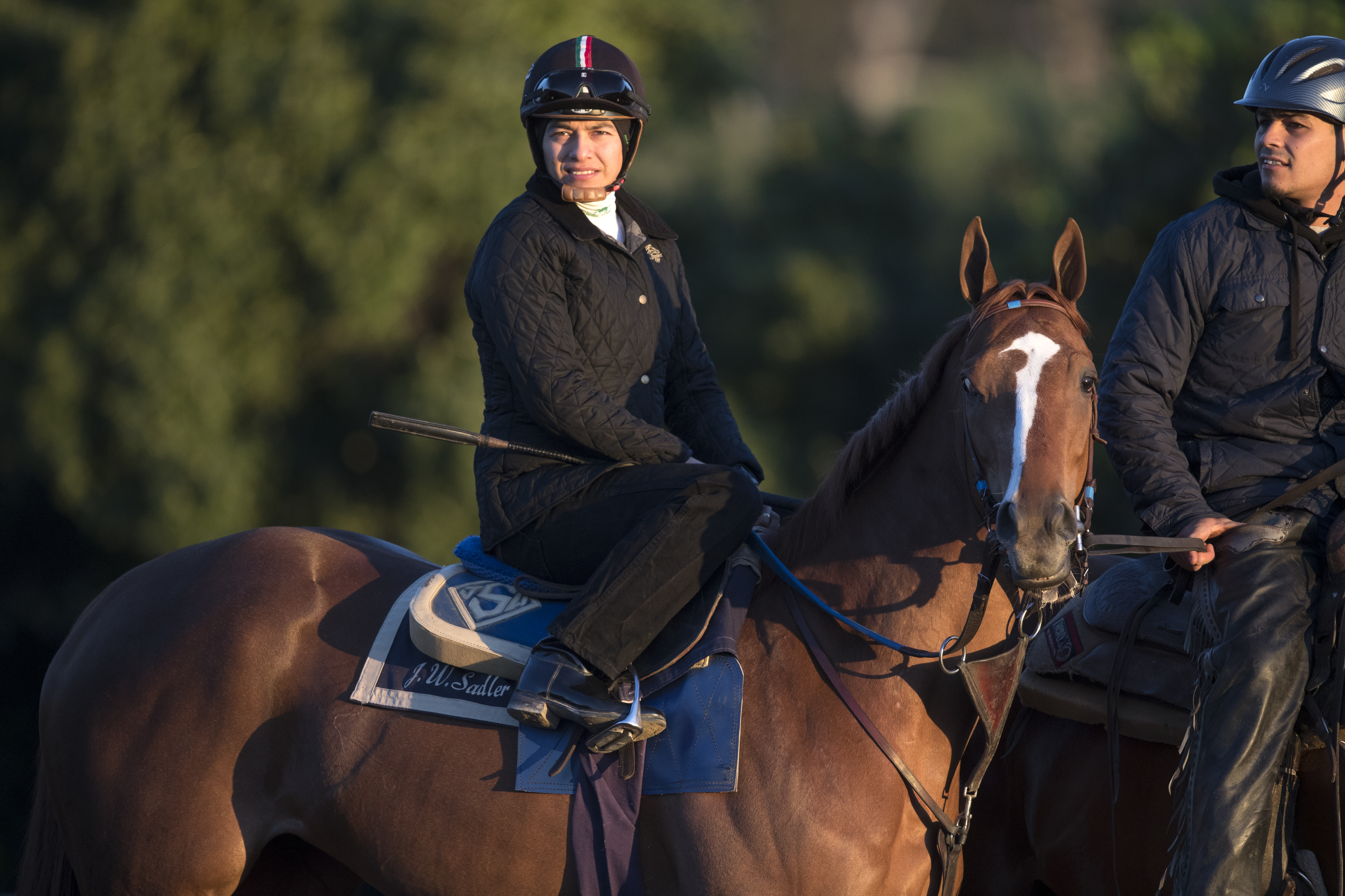 Stellar Wind at Santa Anita on March 3