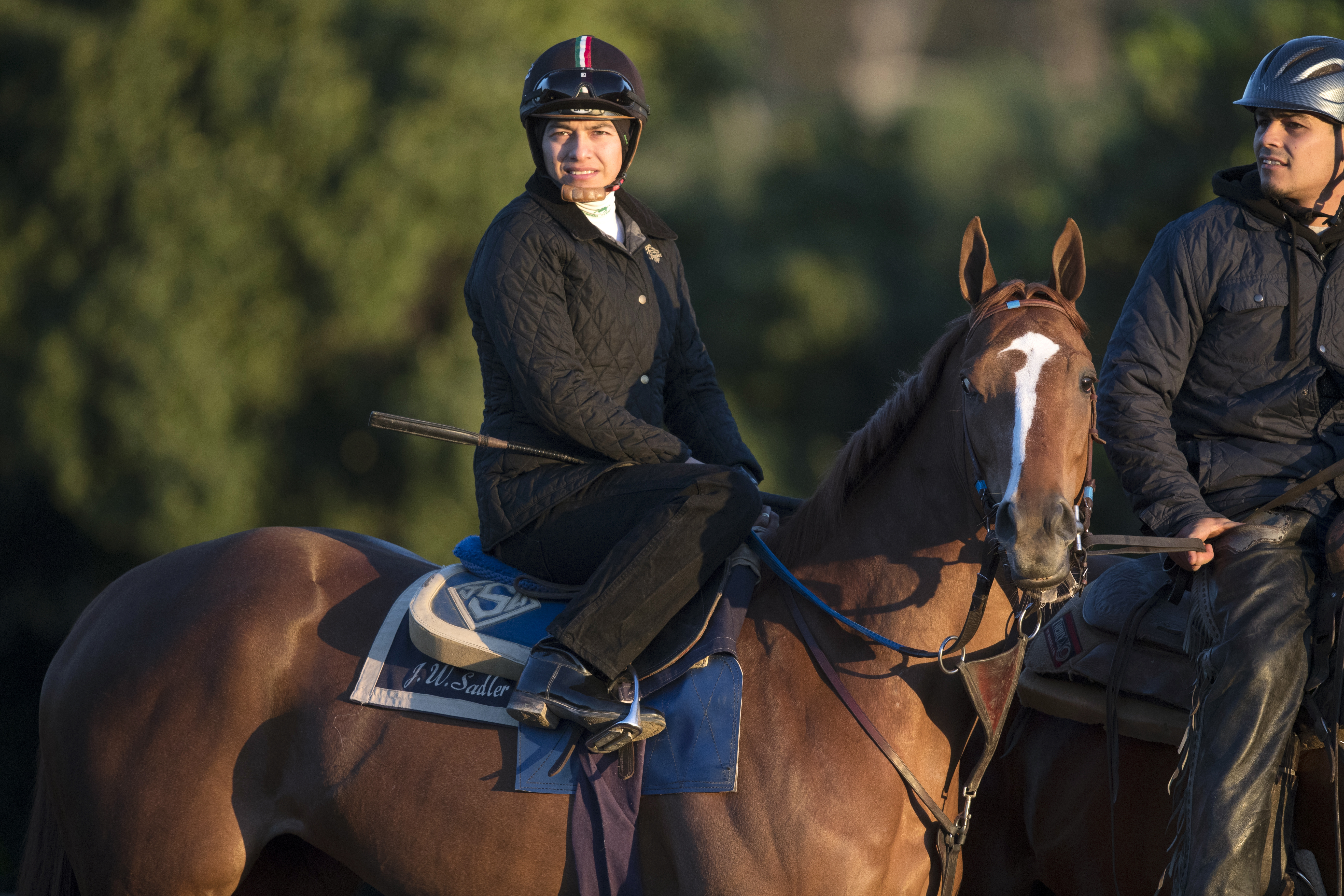 Stellar Wind at Santa Anita on March 3