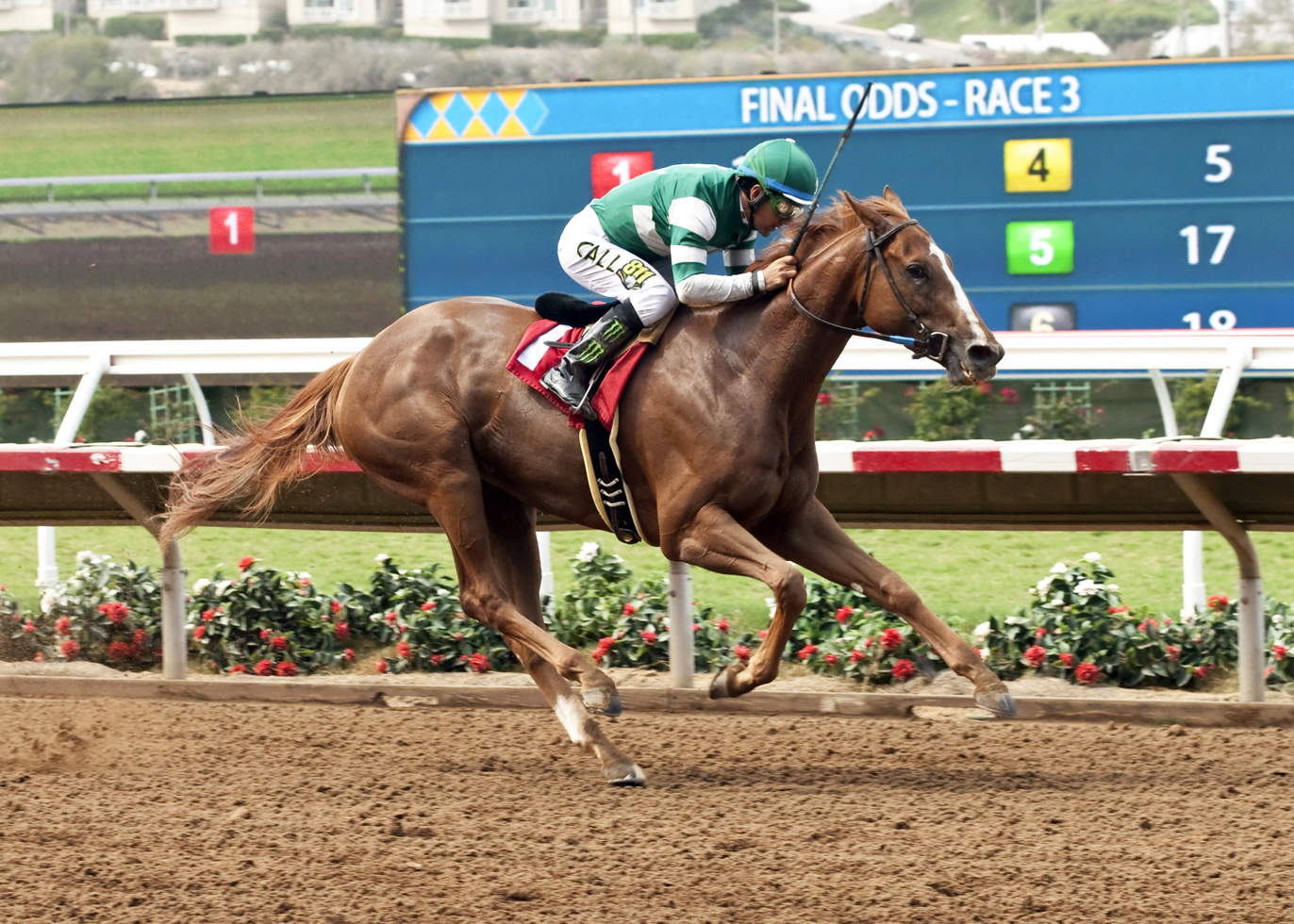 Stellar Wind wins the Torrey Pines
