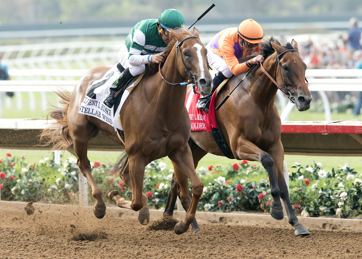 Beholder finishes second in the Clement Hirsch