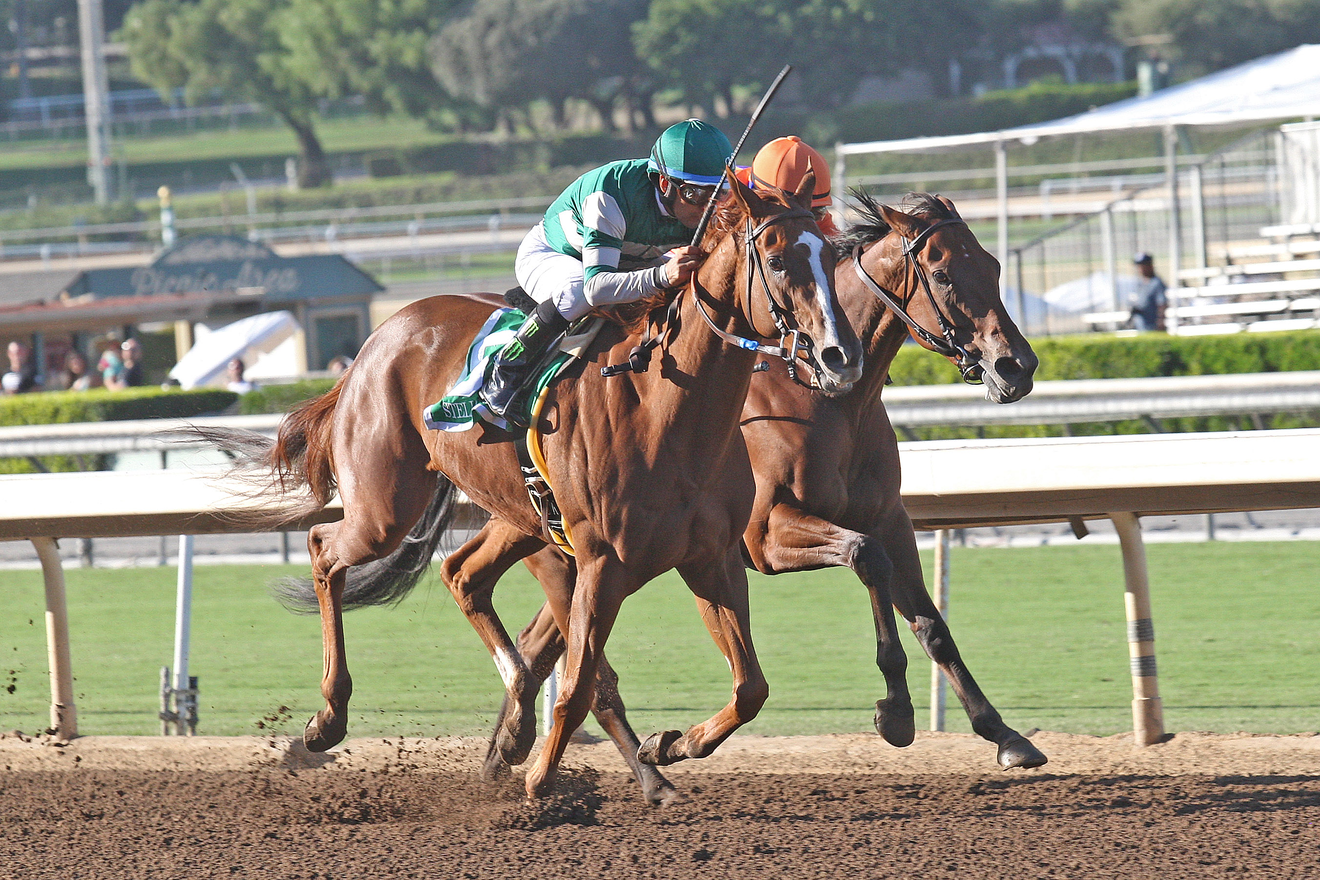 Stellar Wind/Beholder 10-1-2016