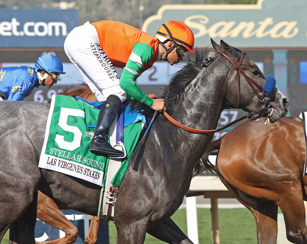 Stellar Sound finishes third in the Las Virgenes Stakes at Santa Anita