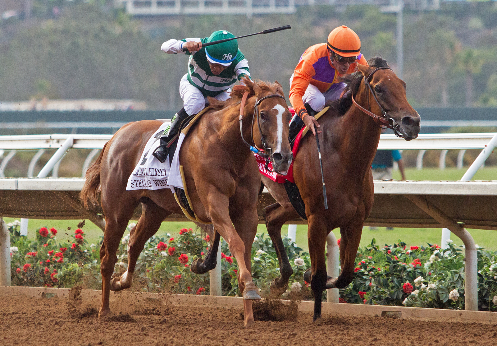 Stellar Wind/Beholder 7-30-2016