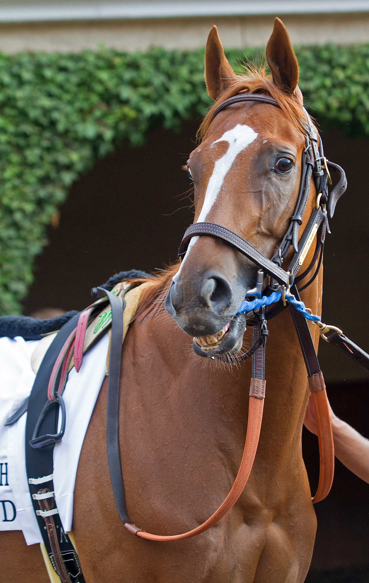 Stellar Wind 07-30-16