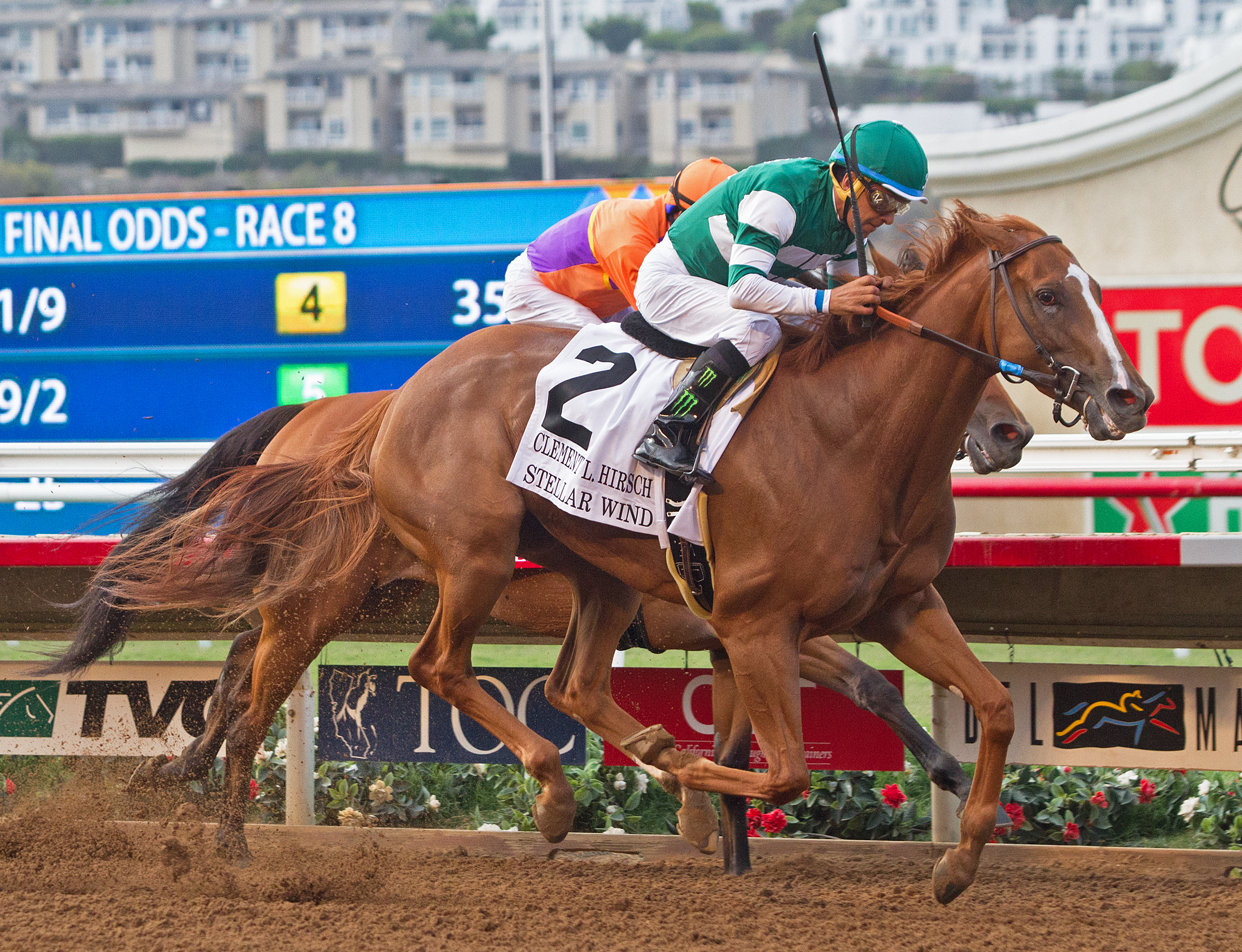 Stellar Wind 7-30-2016