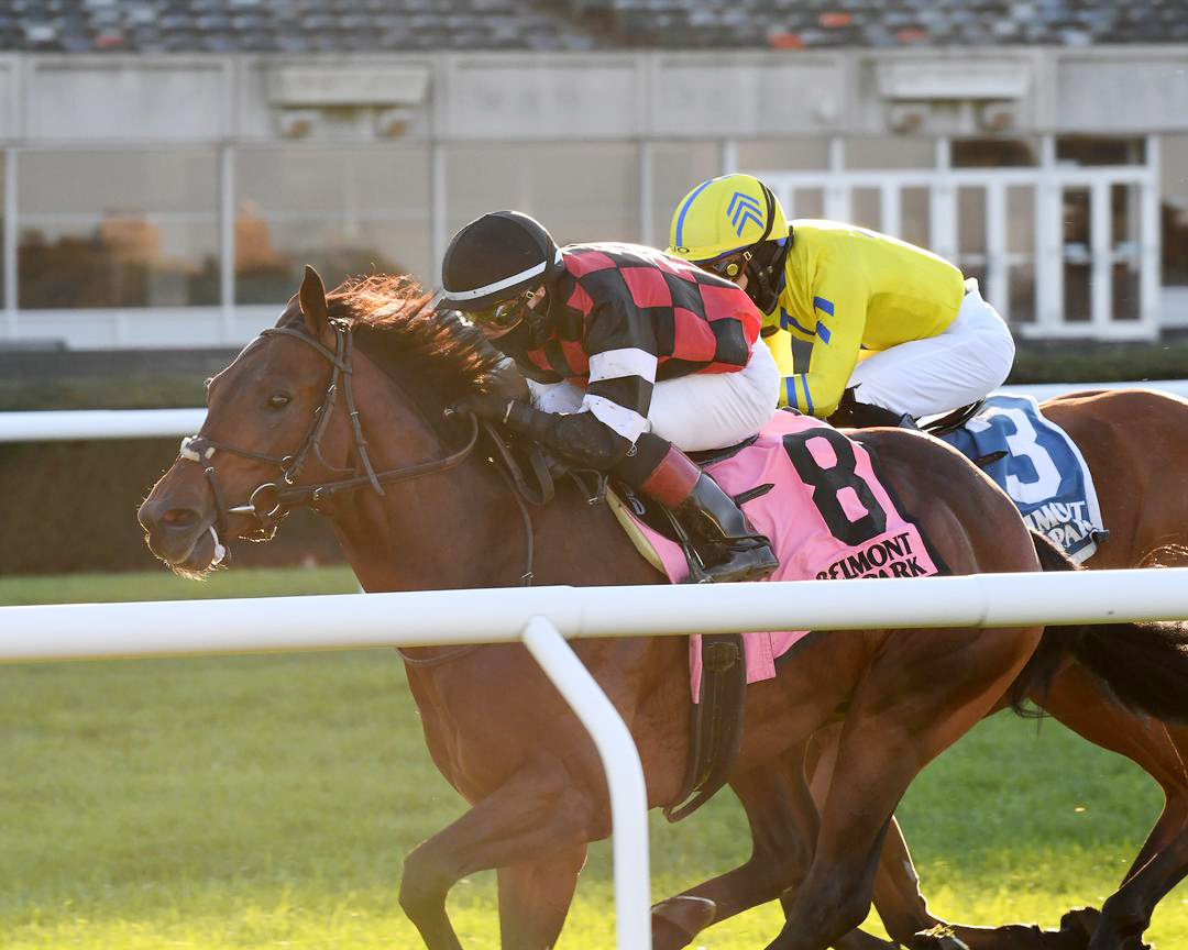 Step Dancer wins the Awad Stakes at Belmont Park