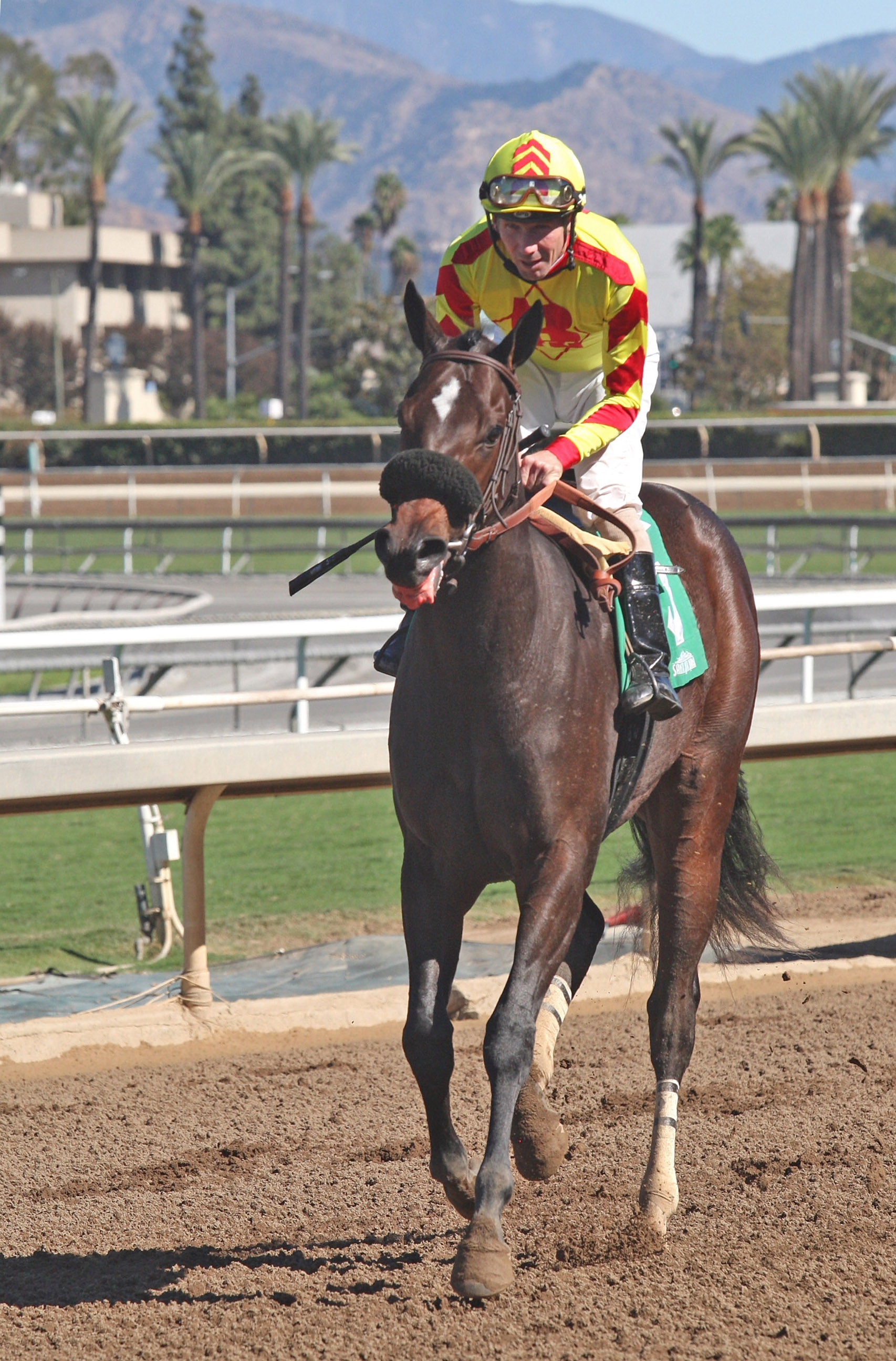 Steph Being Steph after the Anoakia Stakes in 2017