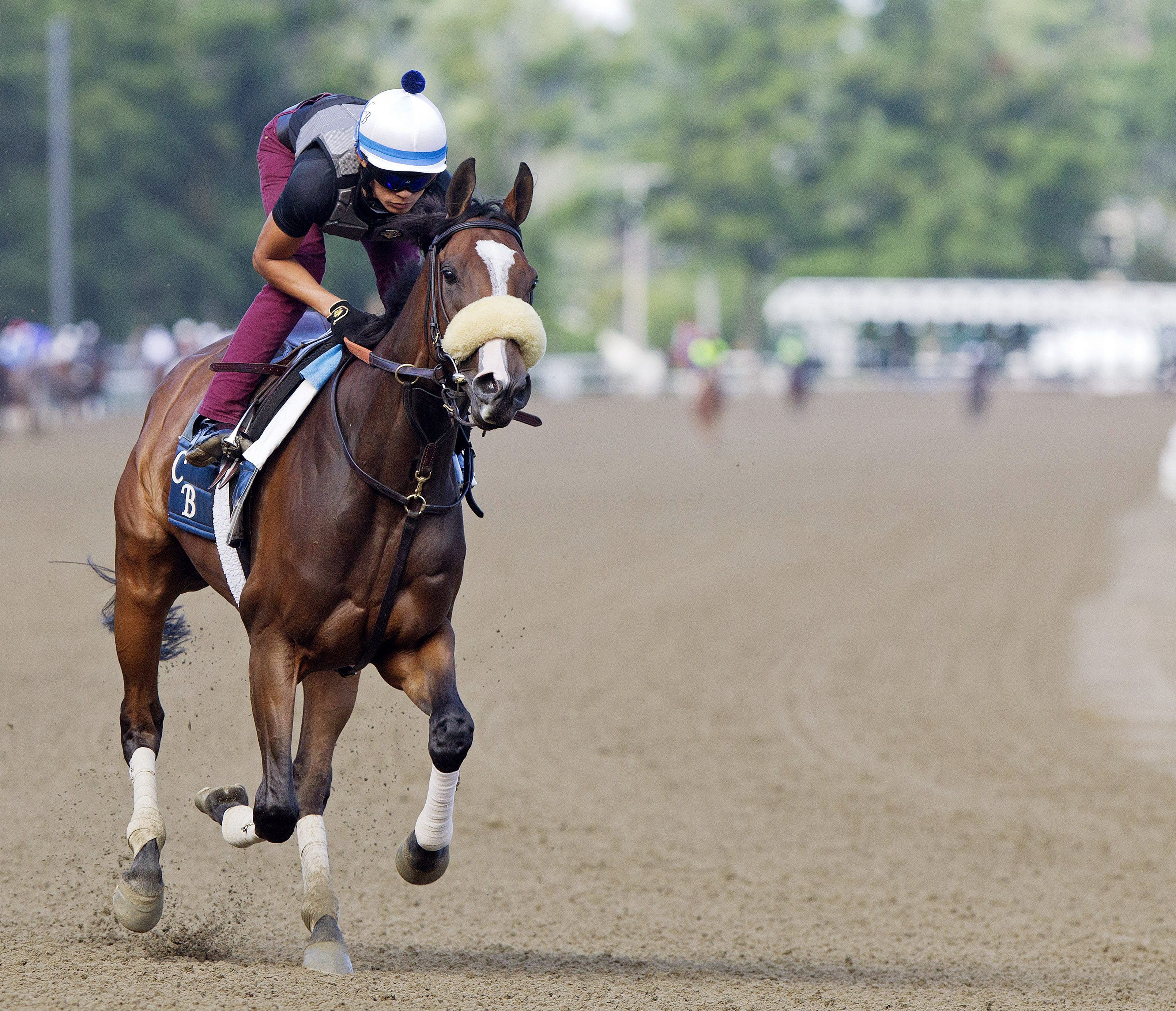 Stephanie's Kitten at Saratoga on July 22