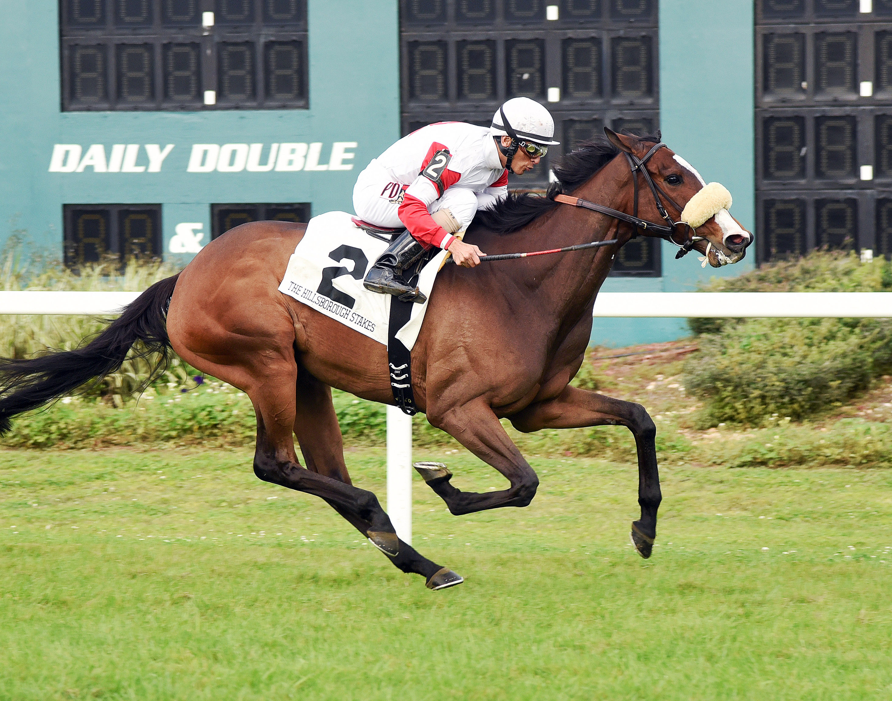 Stephanie's Kitten wins the Hillsborough Stakes