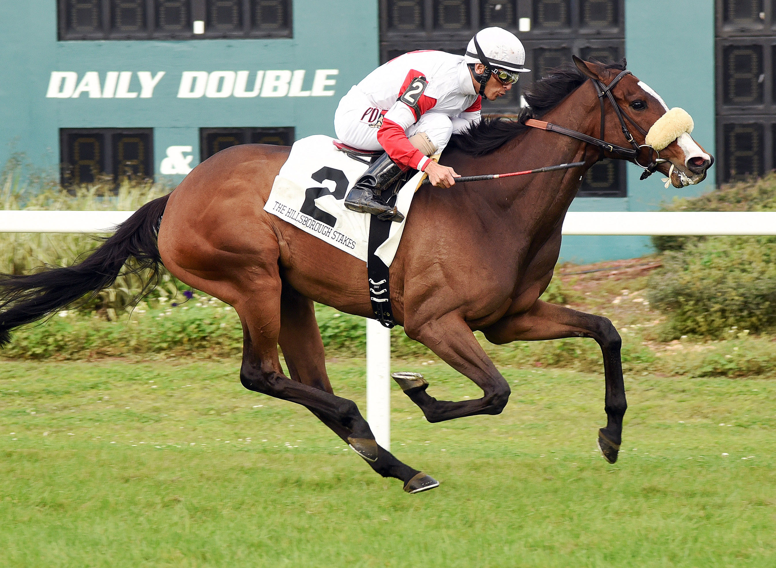 Stephanie's Kitten wins the Hillsborough Stakes