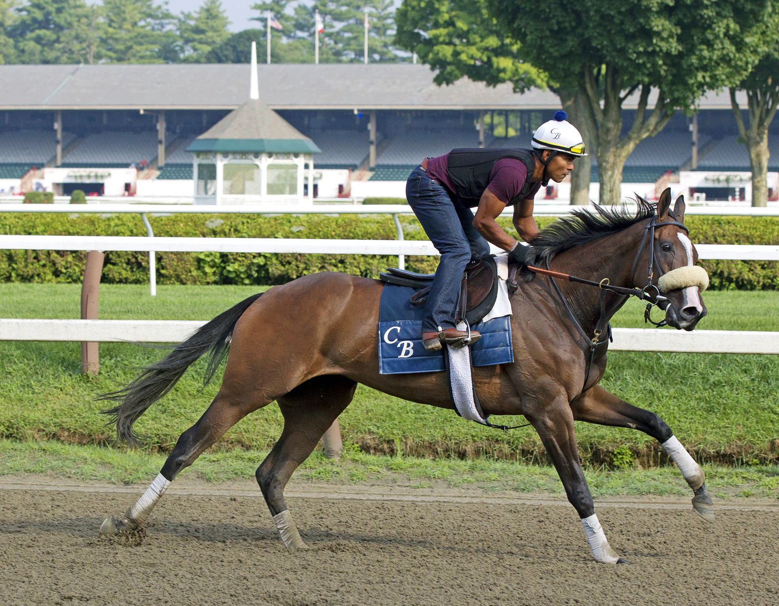 Stephanie's Kitten trains at Saratoga