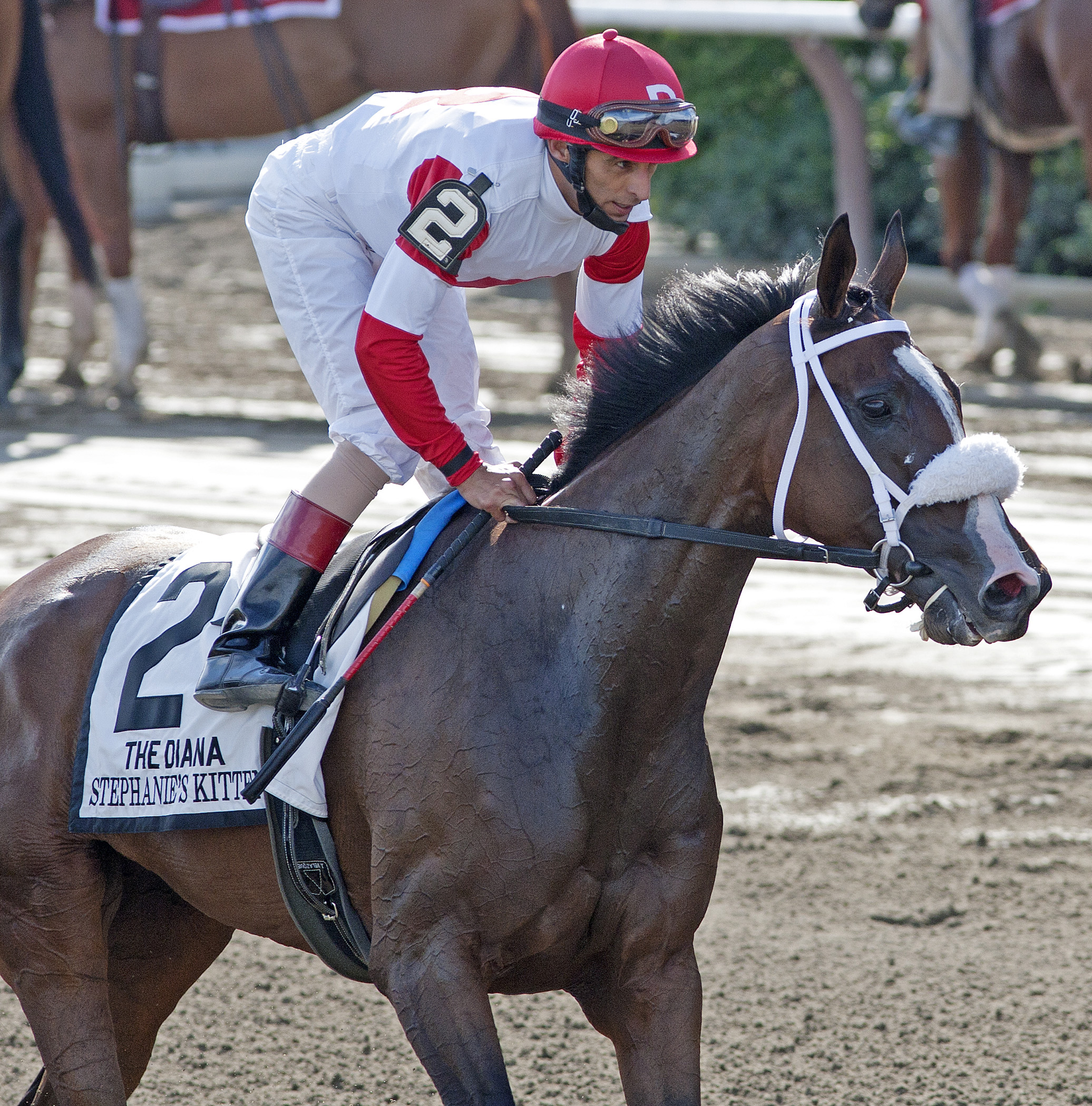 Stephanie's Kitten third in the Diana Stakes