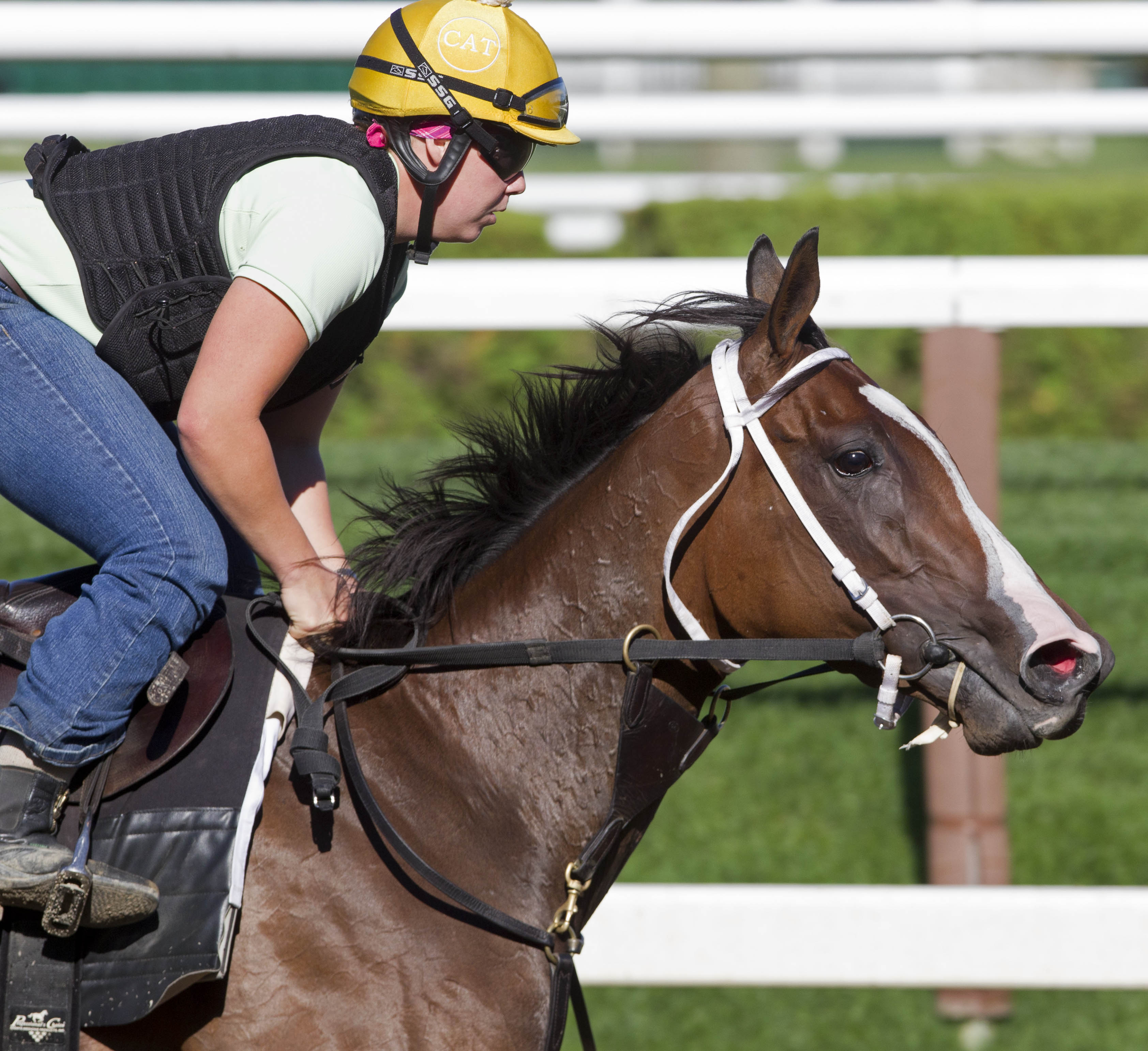 Stephanie's Kitten at Saratoga Aug. 10, 2012