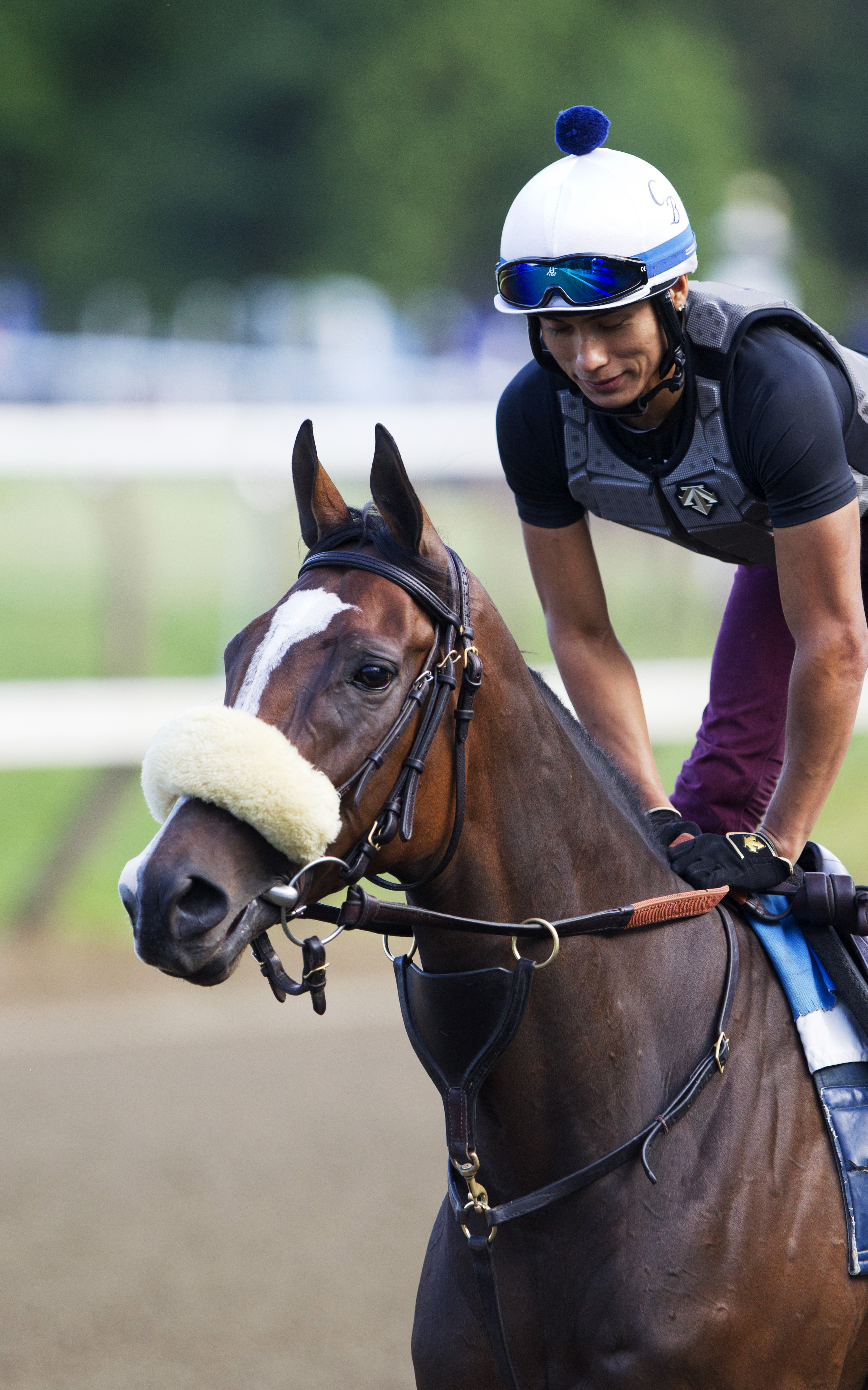 Stephanie's Kitten at Saratoga on July 22